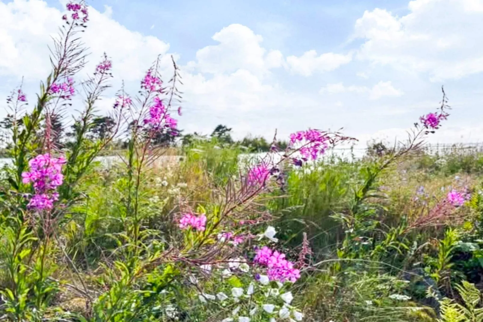 4 persoons vakantie huis in KRISTINEHAMN-Buitenlucht