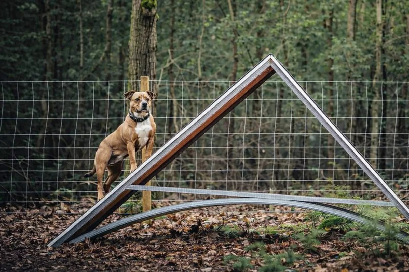 Beach house - Tuinen zomer