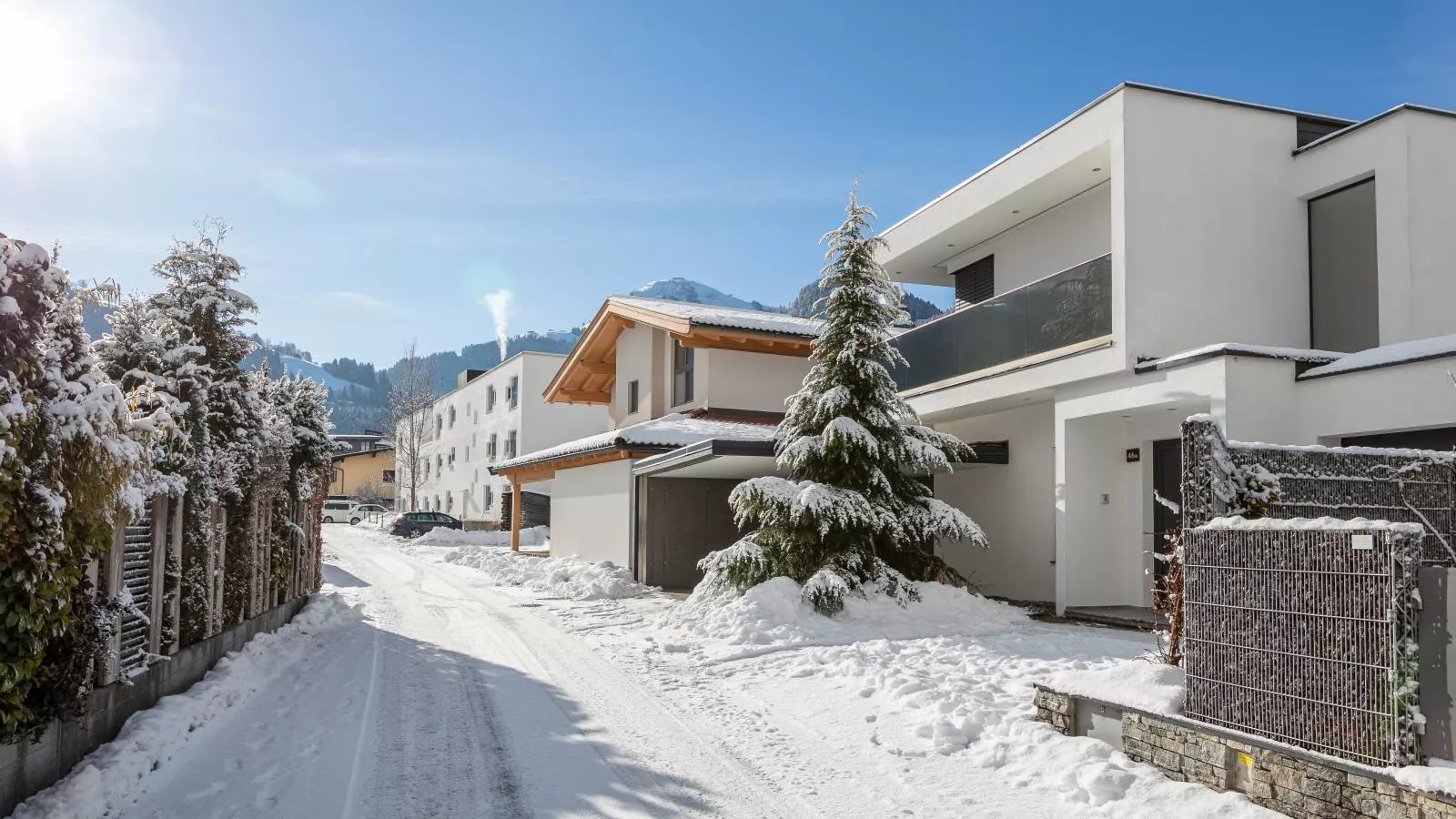 Alpin Chalet ARTE - Exterieur winter