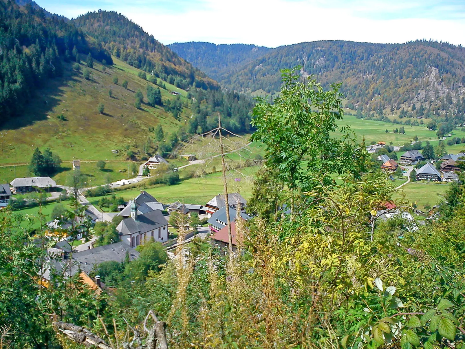 Gästehaus a Feldberg - Omgeving