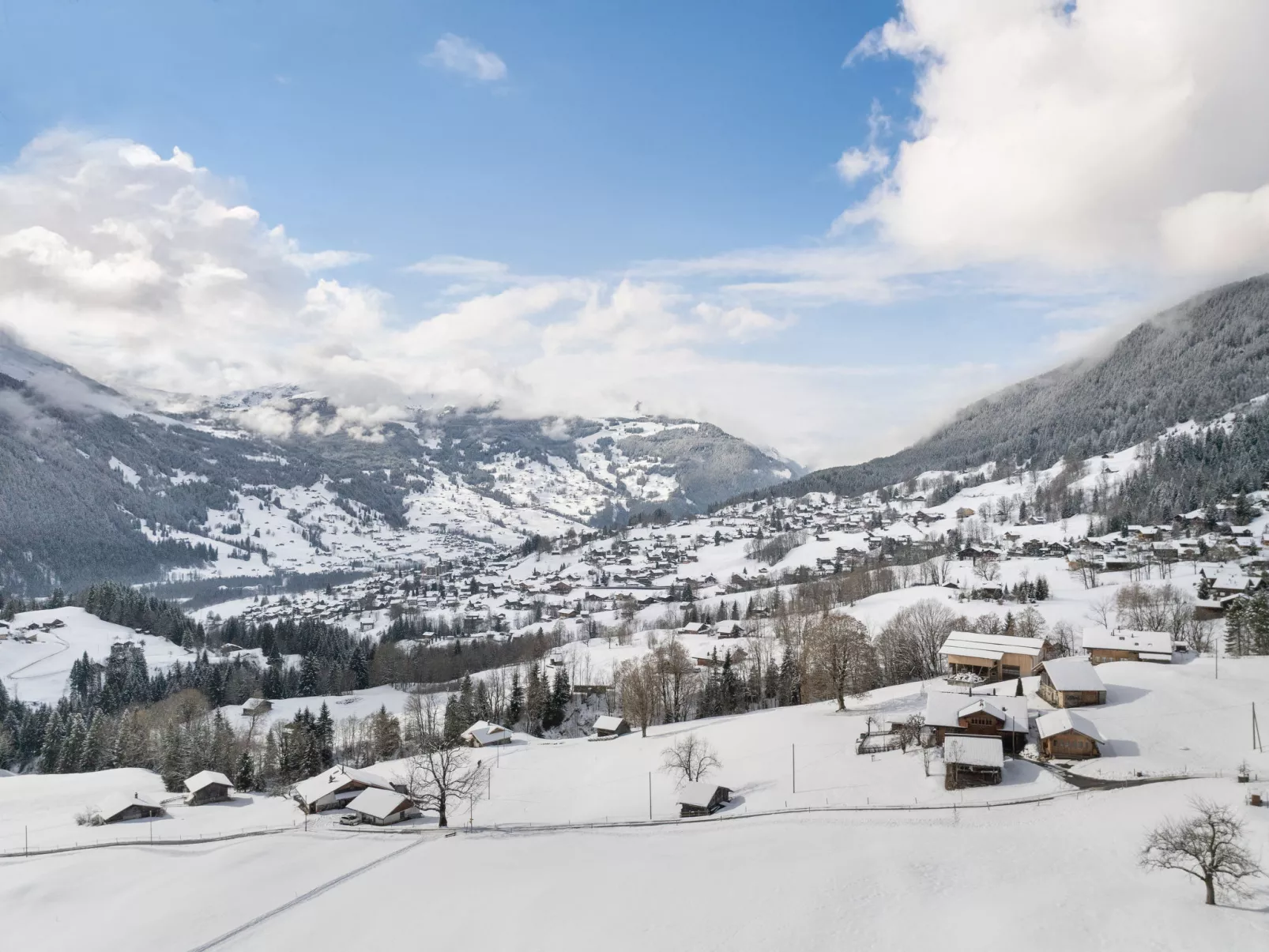 Chalet Herrschaft 4 Bett Wohnung - Omgeving