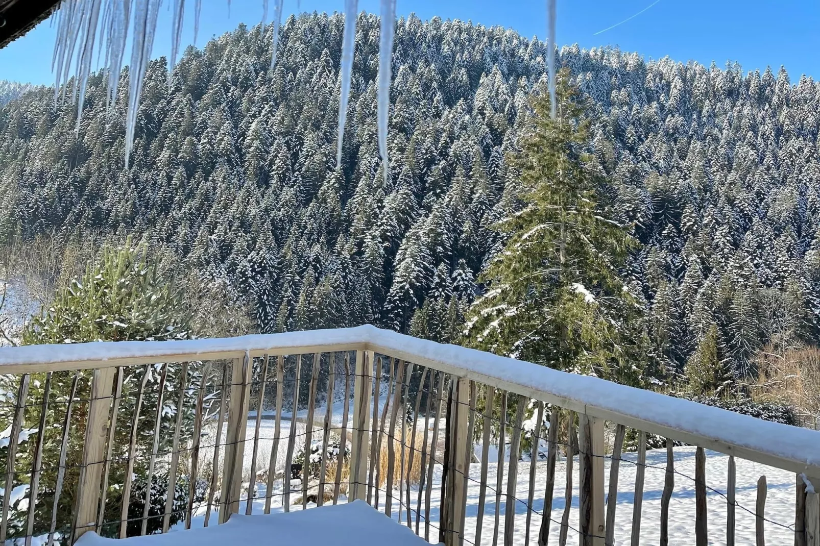 Schwarzwald - Terrasbalkon