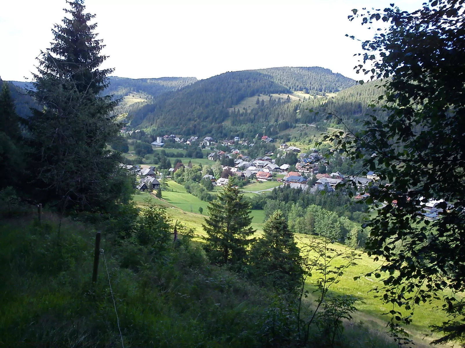 Haus Maria Hochschwarzwald, Garten umzäunt, Wald - Omgeving
