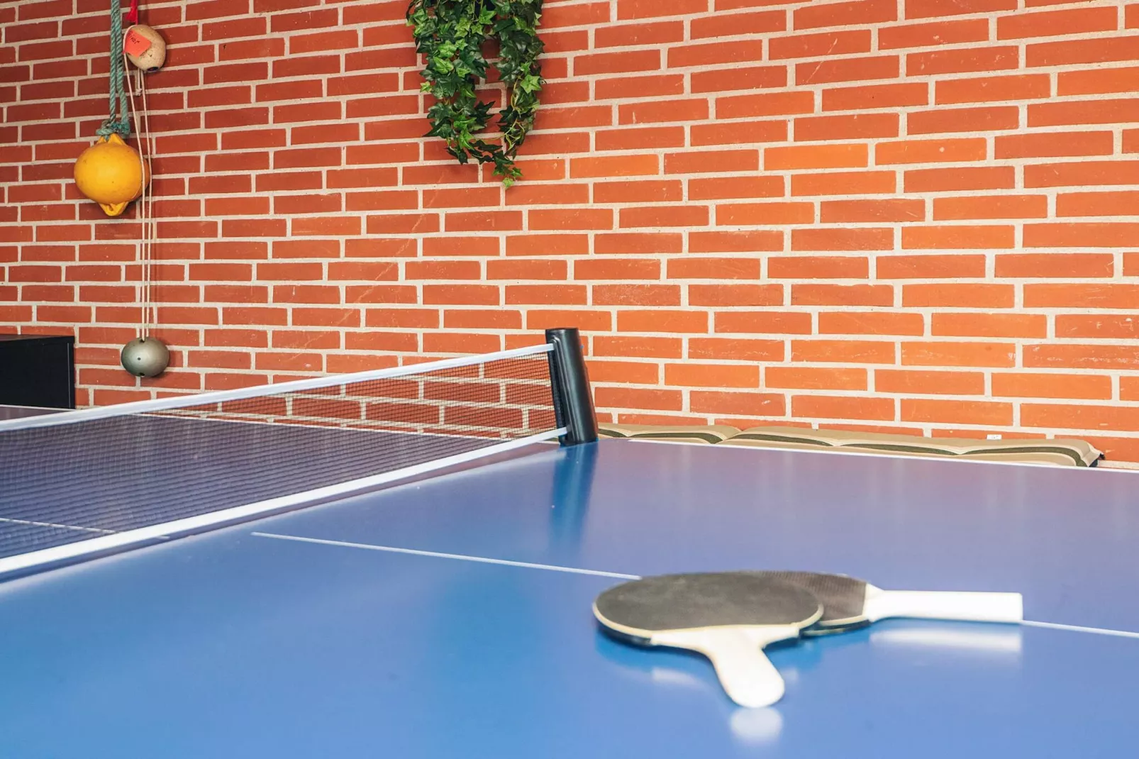 6 persoons vakantie huis in Blåvand-By Traum - Niet-getagd