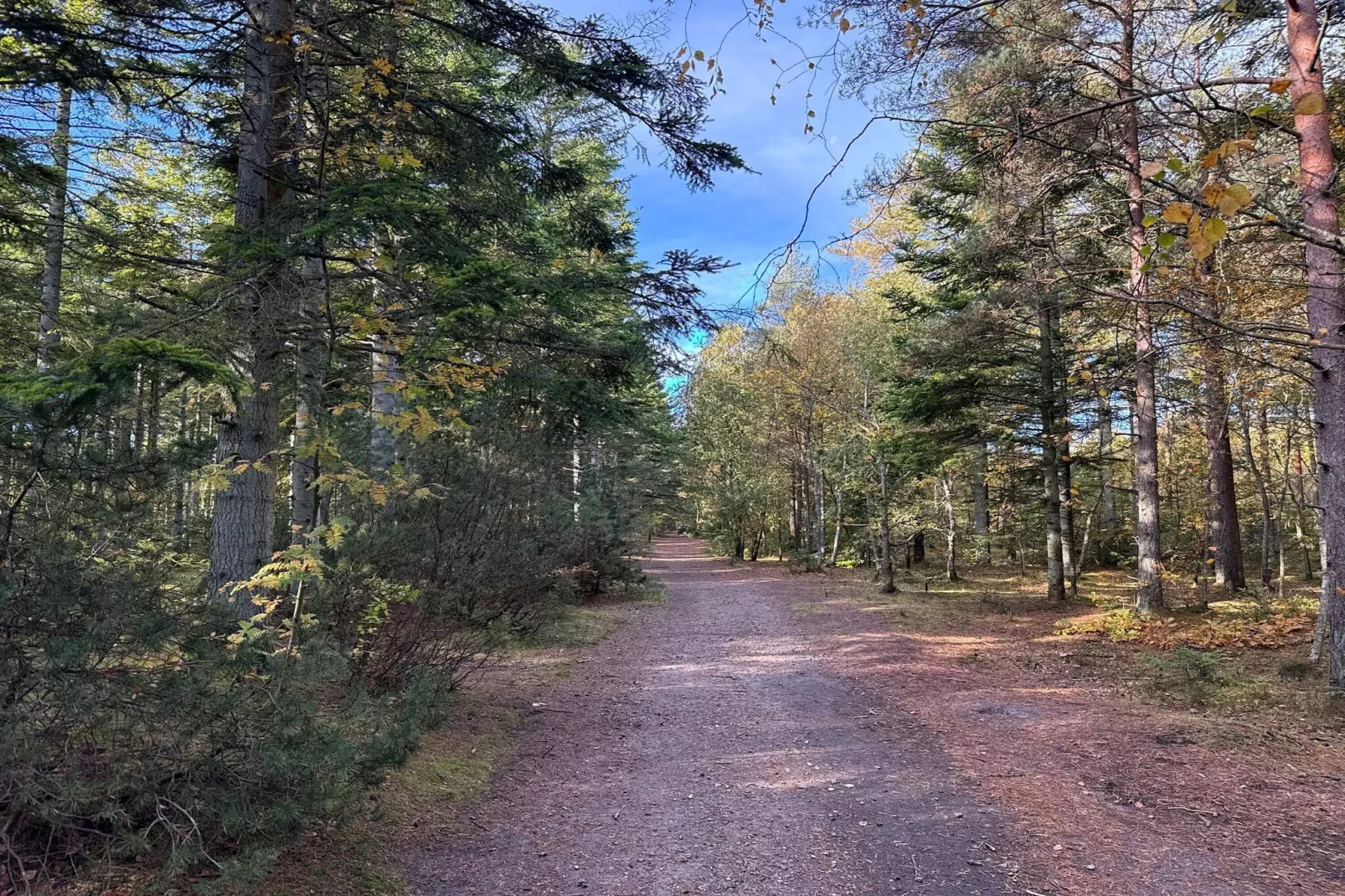 6 persoons vakantie huis in Ålbæk - Niet-getagd