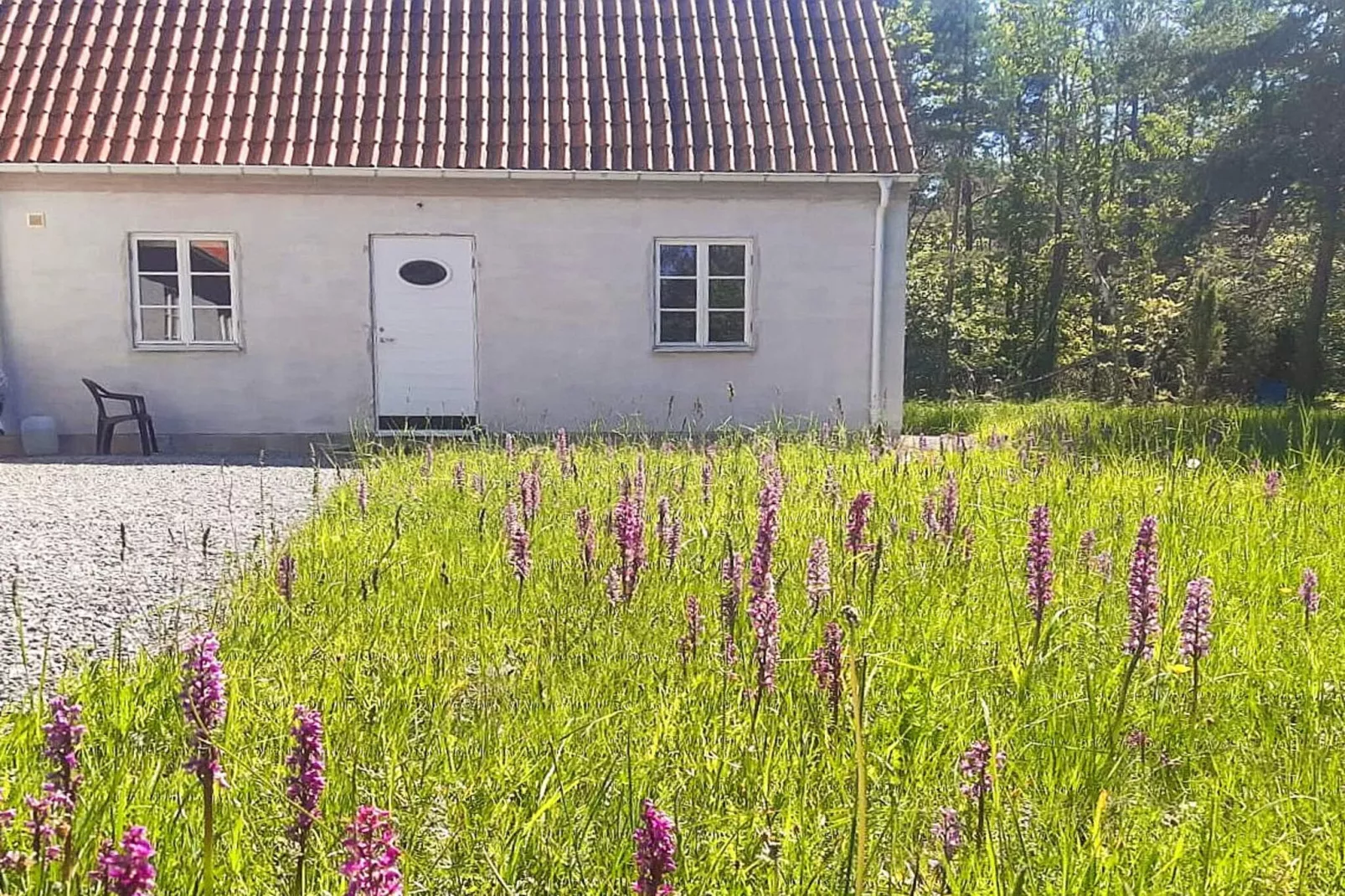 5 sterren vakantie huis in Lärbro