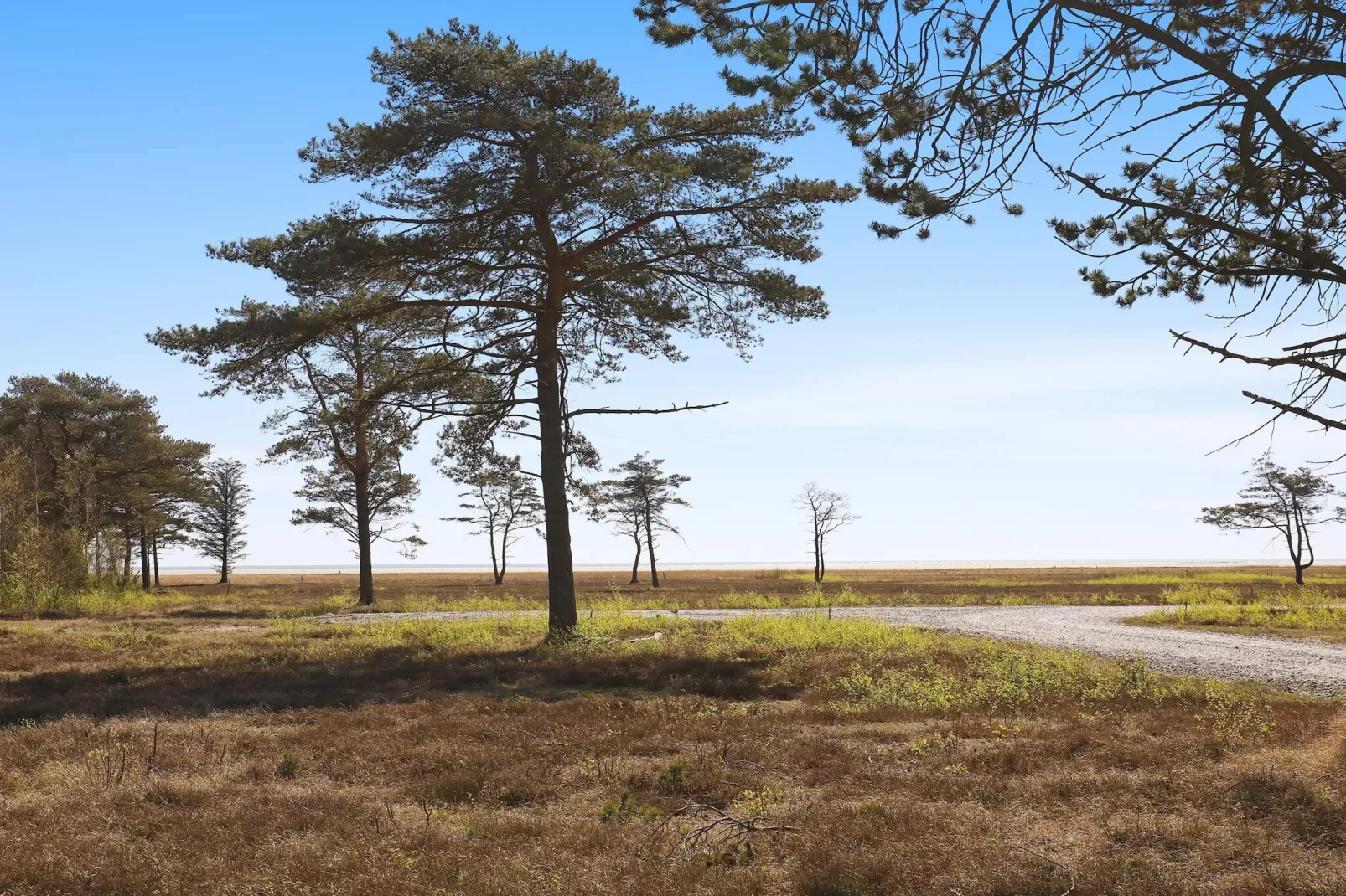 8 persoons vakantie huis in Læsø - Waterzicht