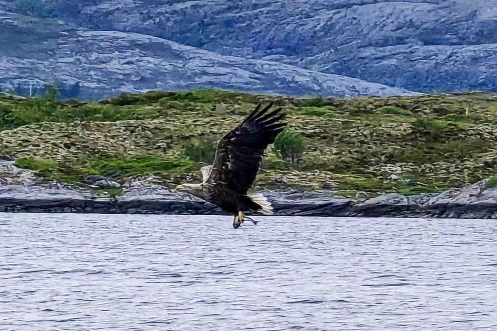 5 Personen vakantie huis in Flatanger - Niet-getagd