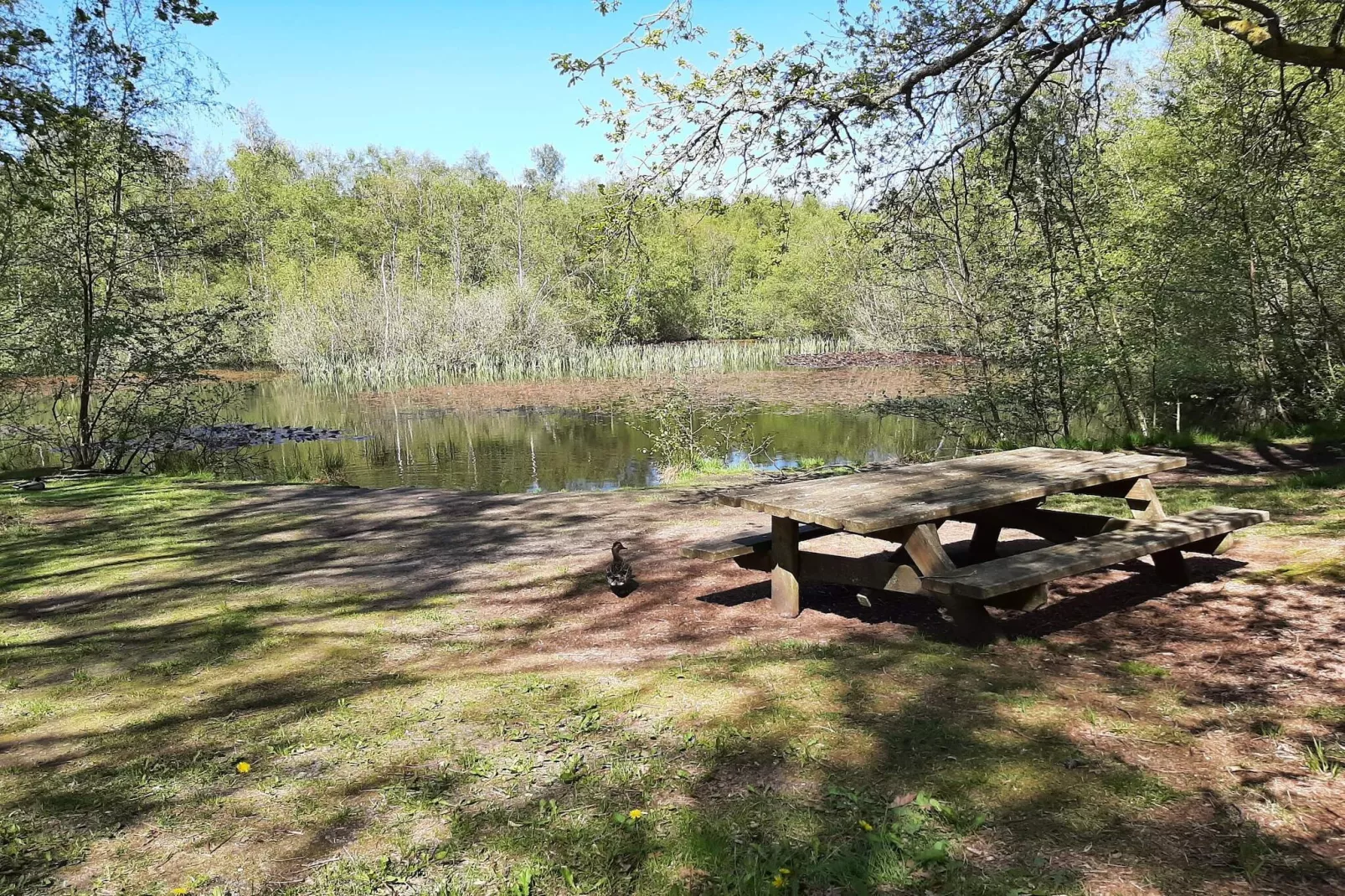 6 persoons vakantie huis in Ålbæk - Niet-getagd