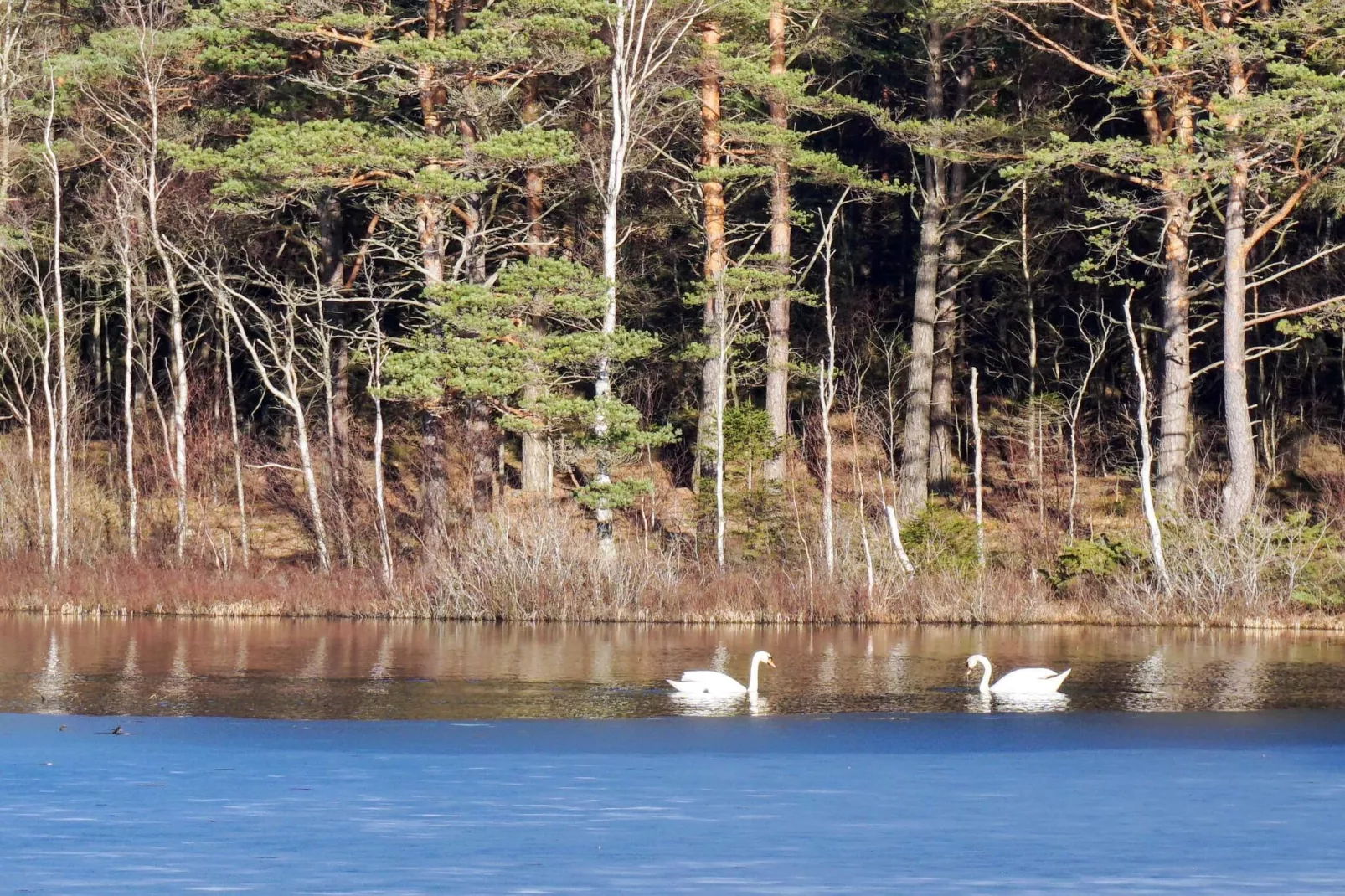 4 Personen vakantie huis in HÄLLEVADSHOLM - Niet-getagd