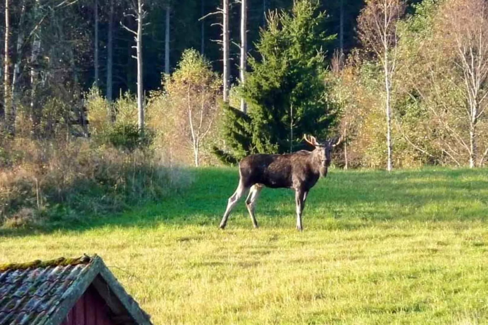 4 Personen vakantie huis in HÄLLEVADSHOLM - Niet-getagd
