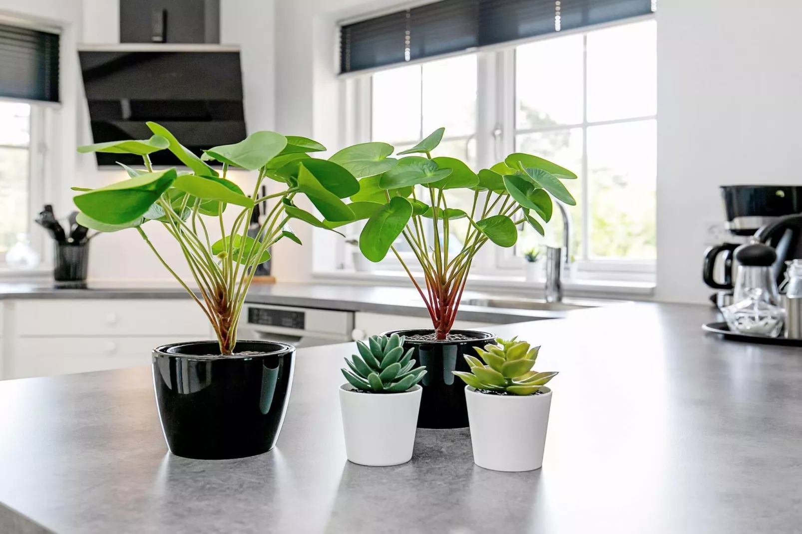 8 persoons vakantie huis in Læsø - Binnen