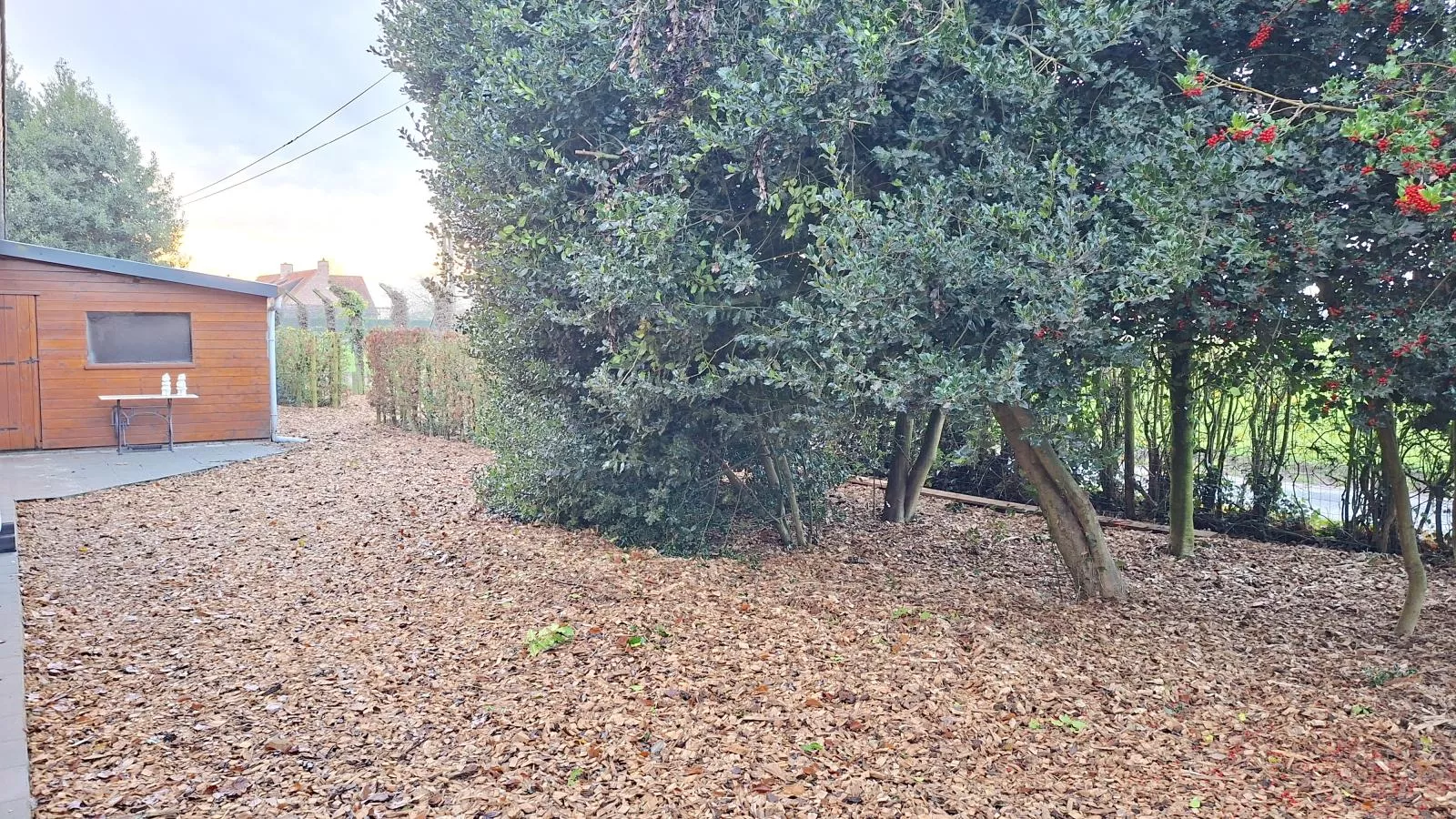 ZweveZalig - Tuinen zomer