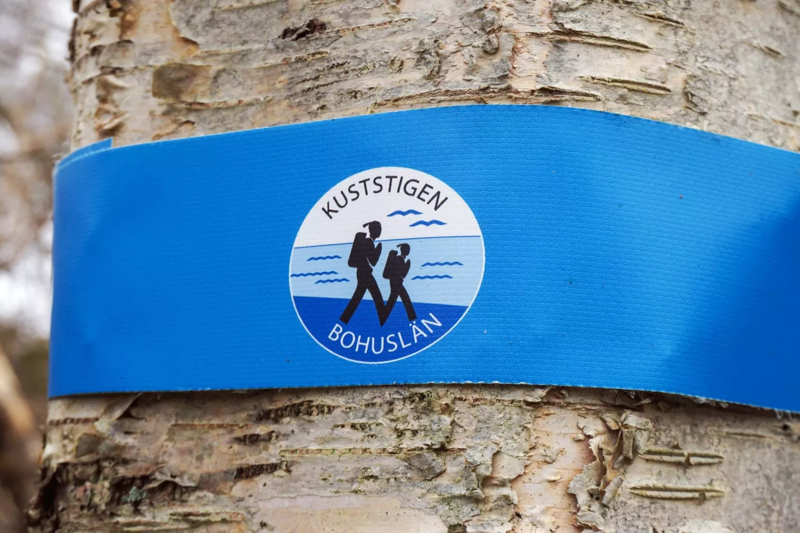 4 Personen vakantie huis in LYSEKIL - Niet-getagd