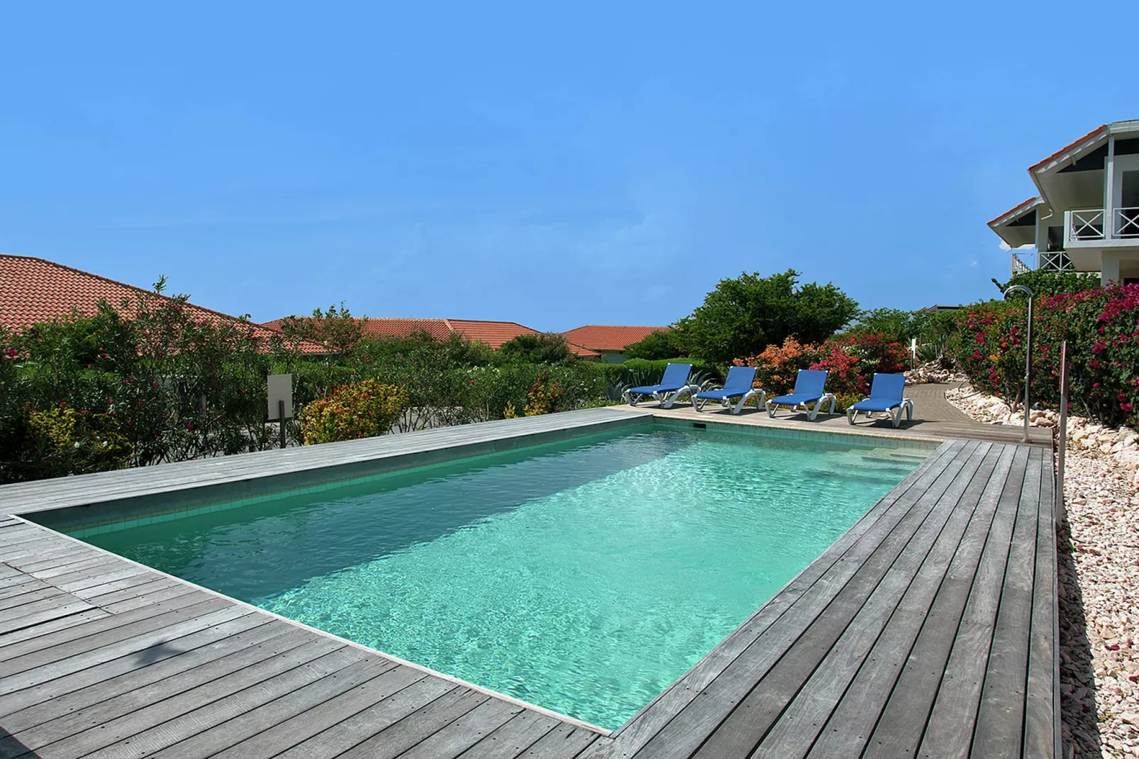 Rise and Shine Boca Gentil