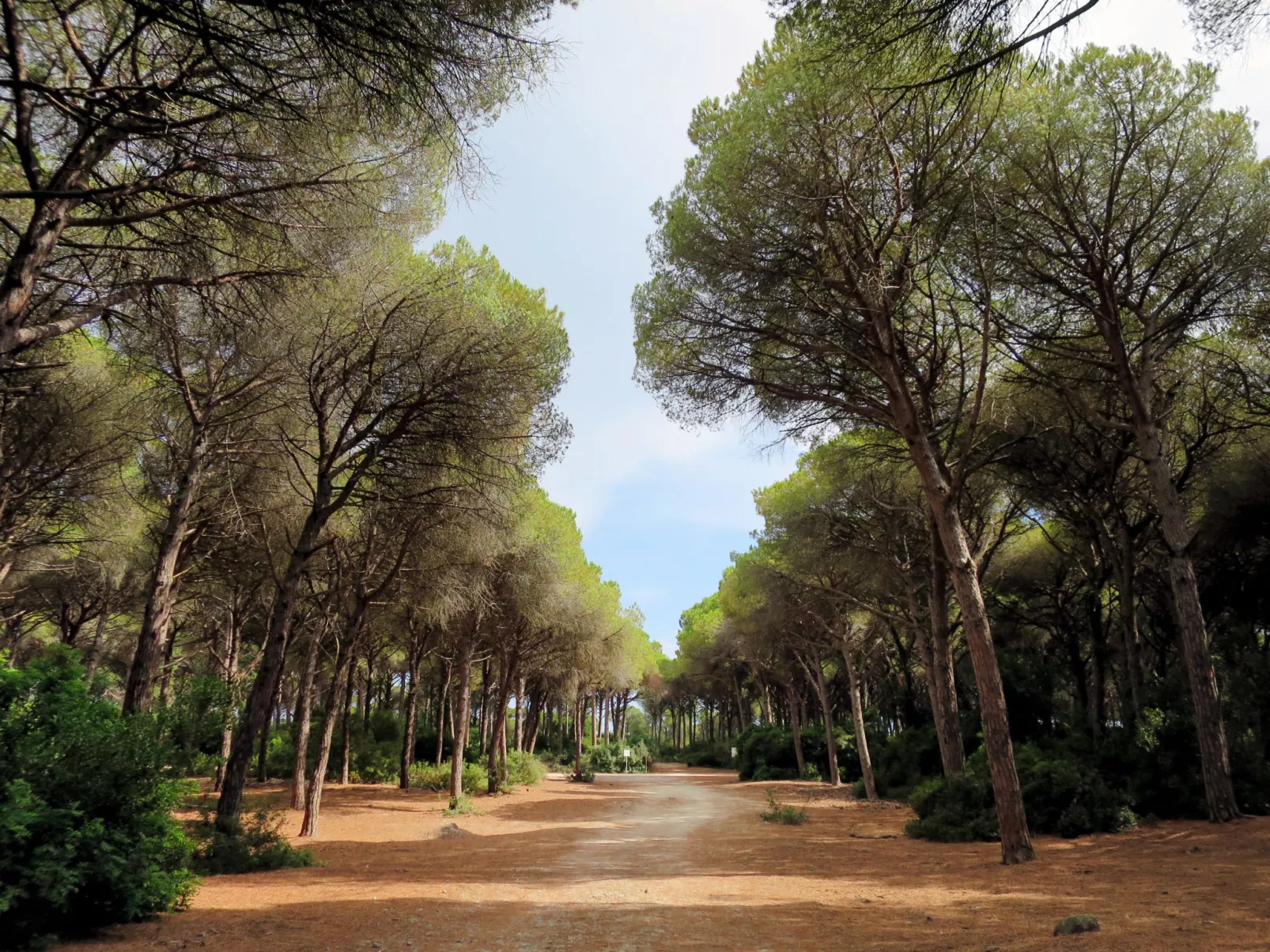 Villaflair - Design Villa Porto Ercole