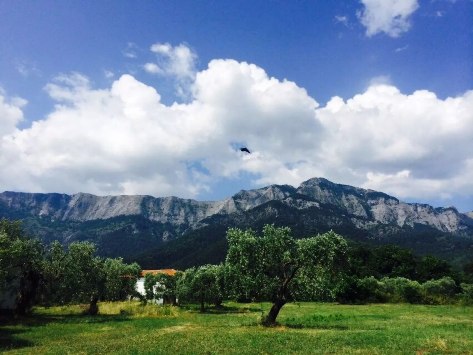 Strandnahes Ferienhaus mit privatem Garten