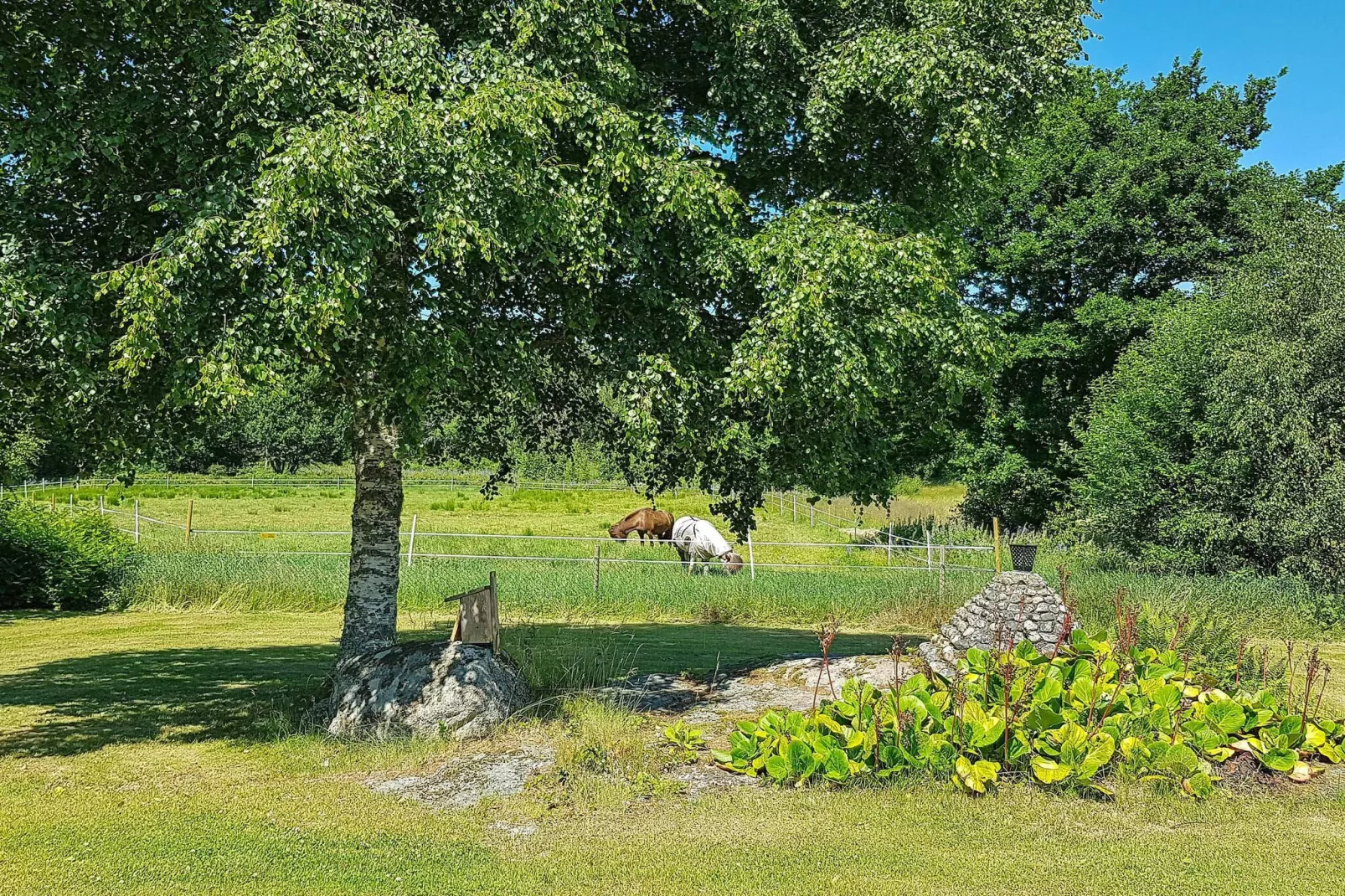 6 persoons vakantie huis in Fjällbacka - Niet-getagd