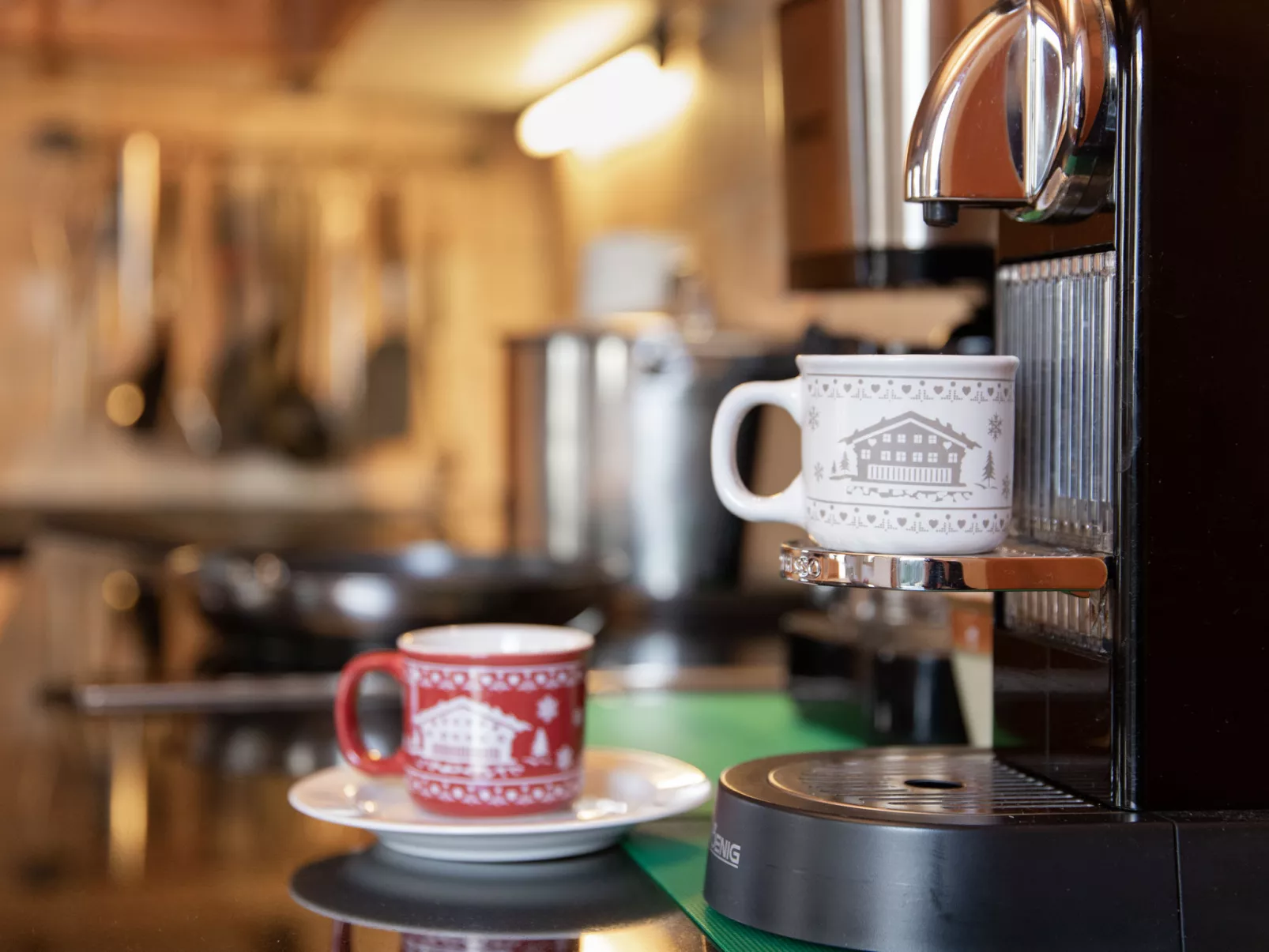 Ecureuil noir - Binnen