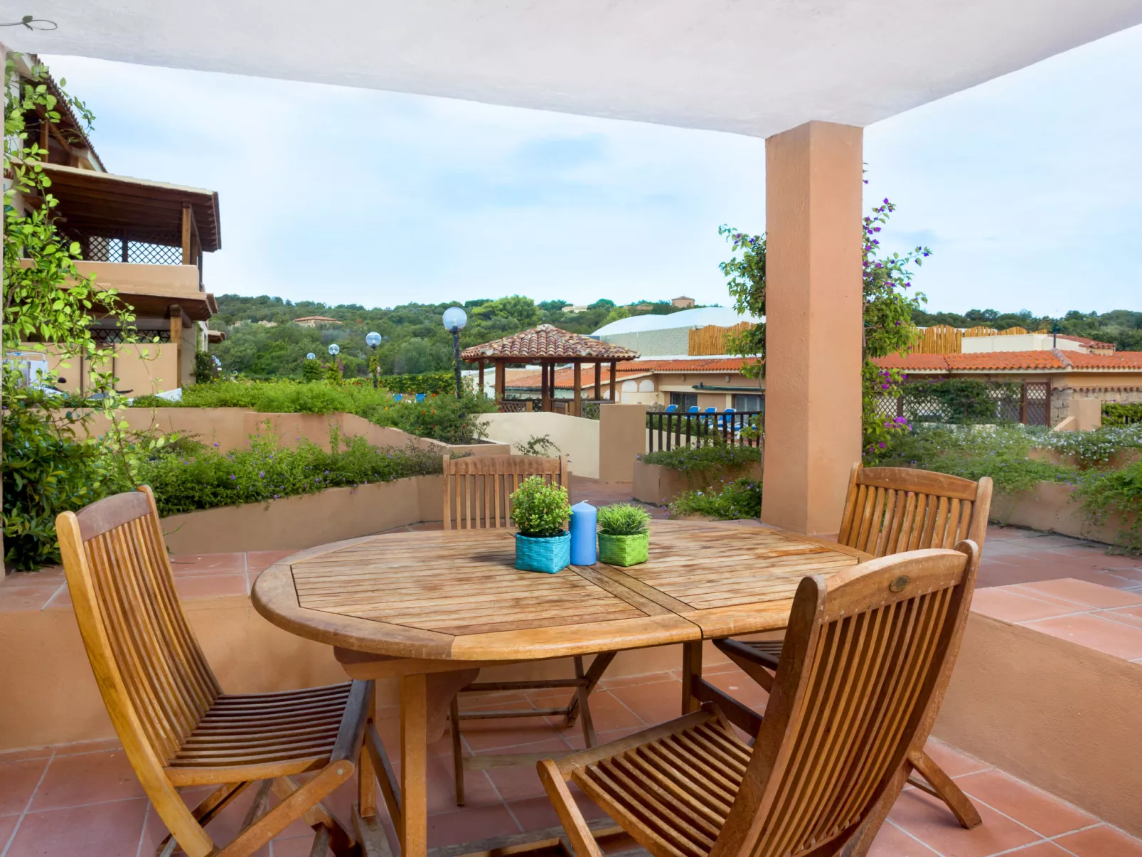 Bougainvillae Bilo - Buiten