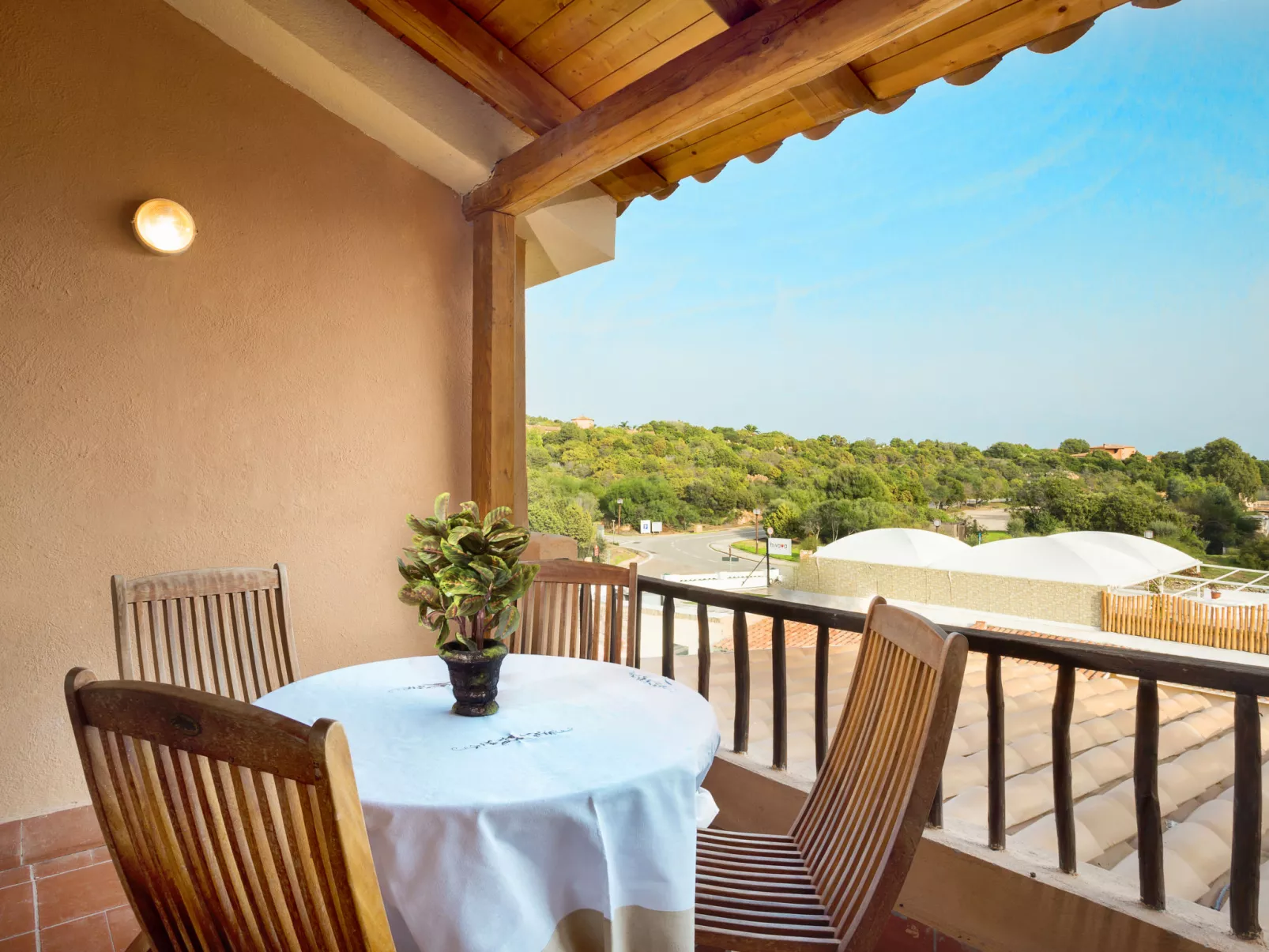 Bougainvillae Trilo - Buiten