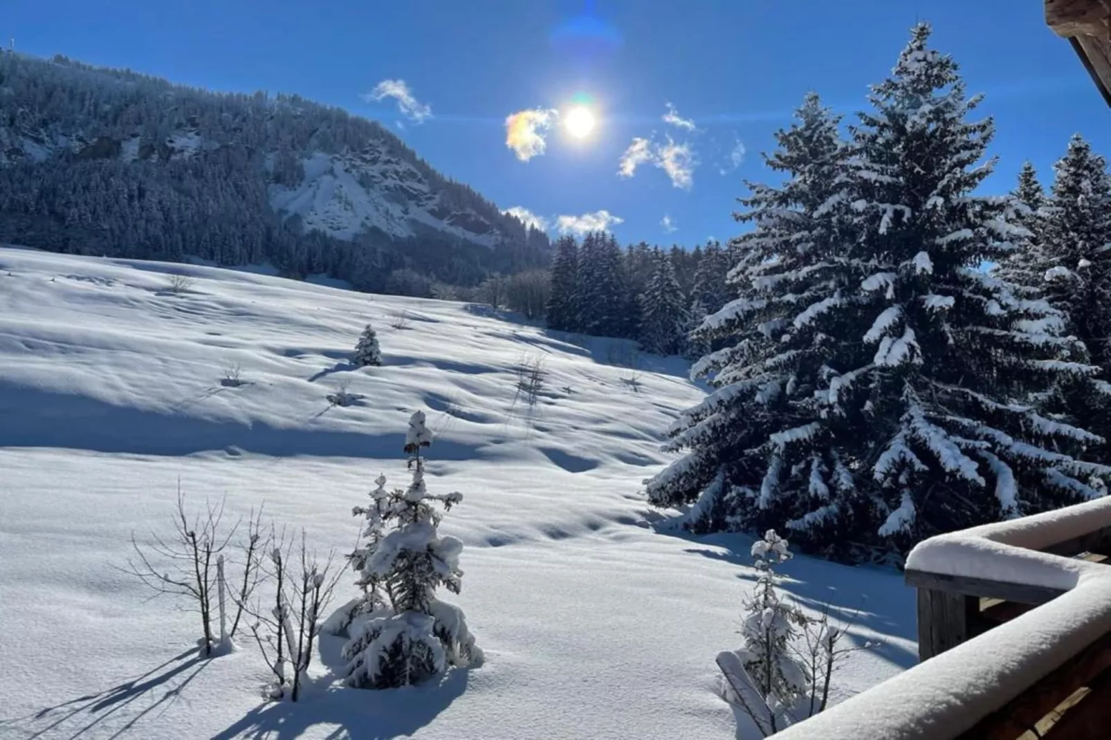 Les Portes de Megève 12 - Uitzicht winter