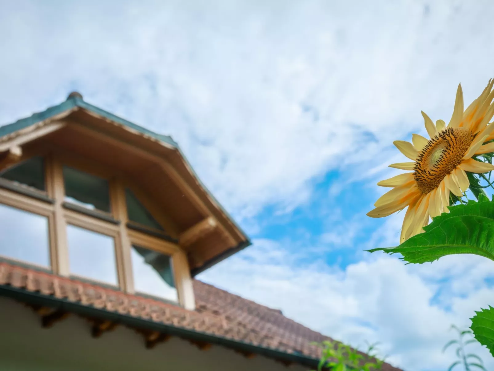 VILLA KATARINA - Buiten