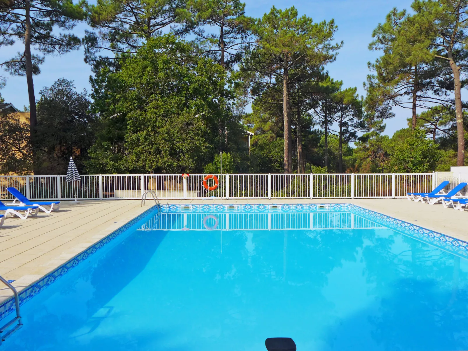 Les Grands Pins - Buiten