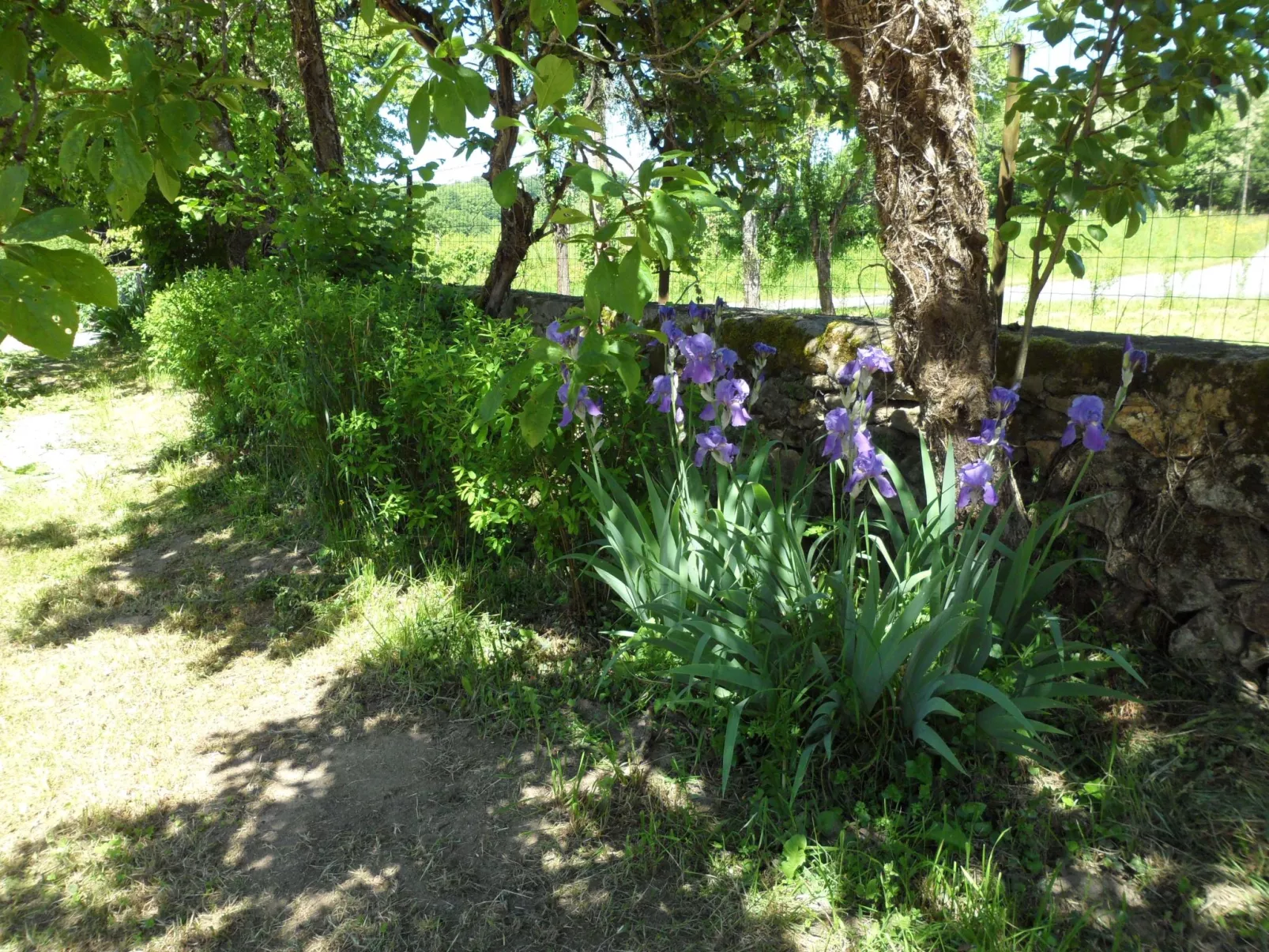 "Aelise" mit eigenem Pool - Buiten