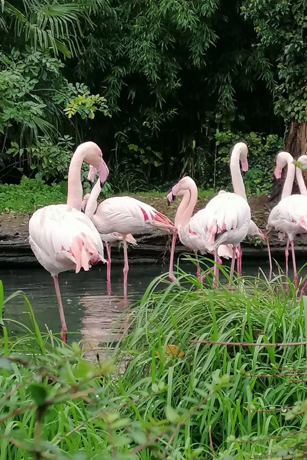 Maison Bleu - Buiten