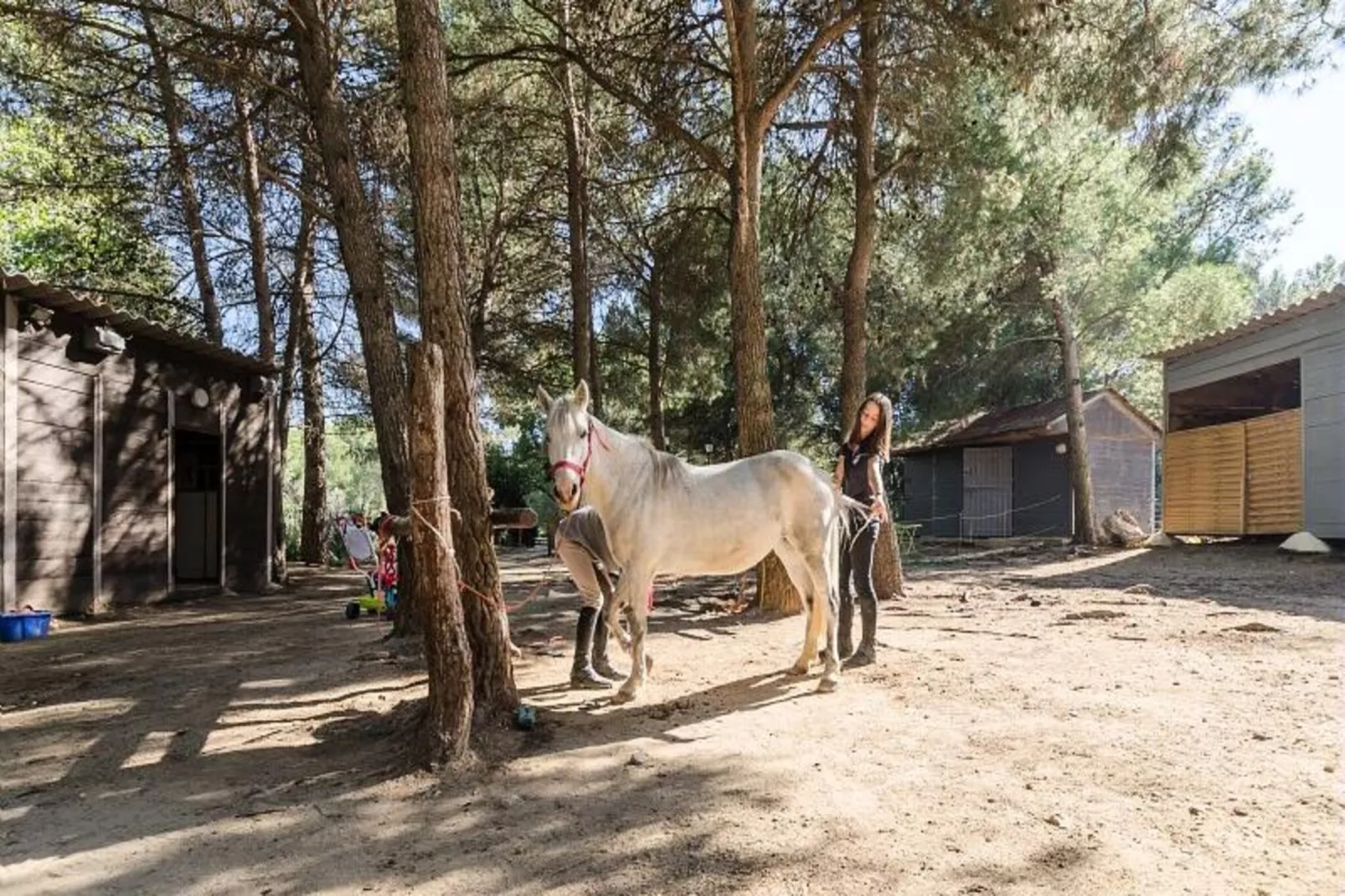 Village Pont Royal en Provence - maeva Home - Niet-getagd