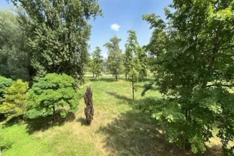 Adonis Divonne-les-Bains Park side Studio - Tuinen zomer