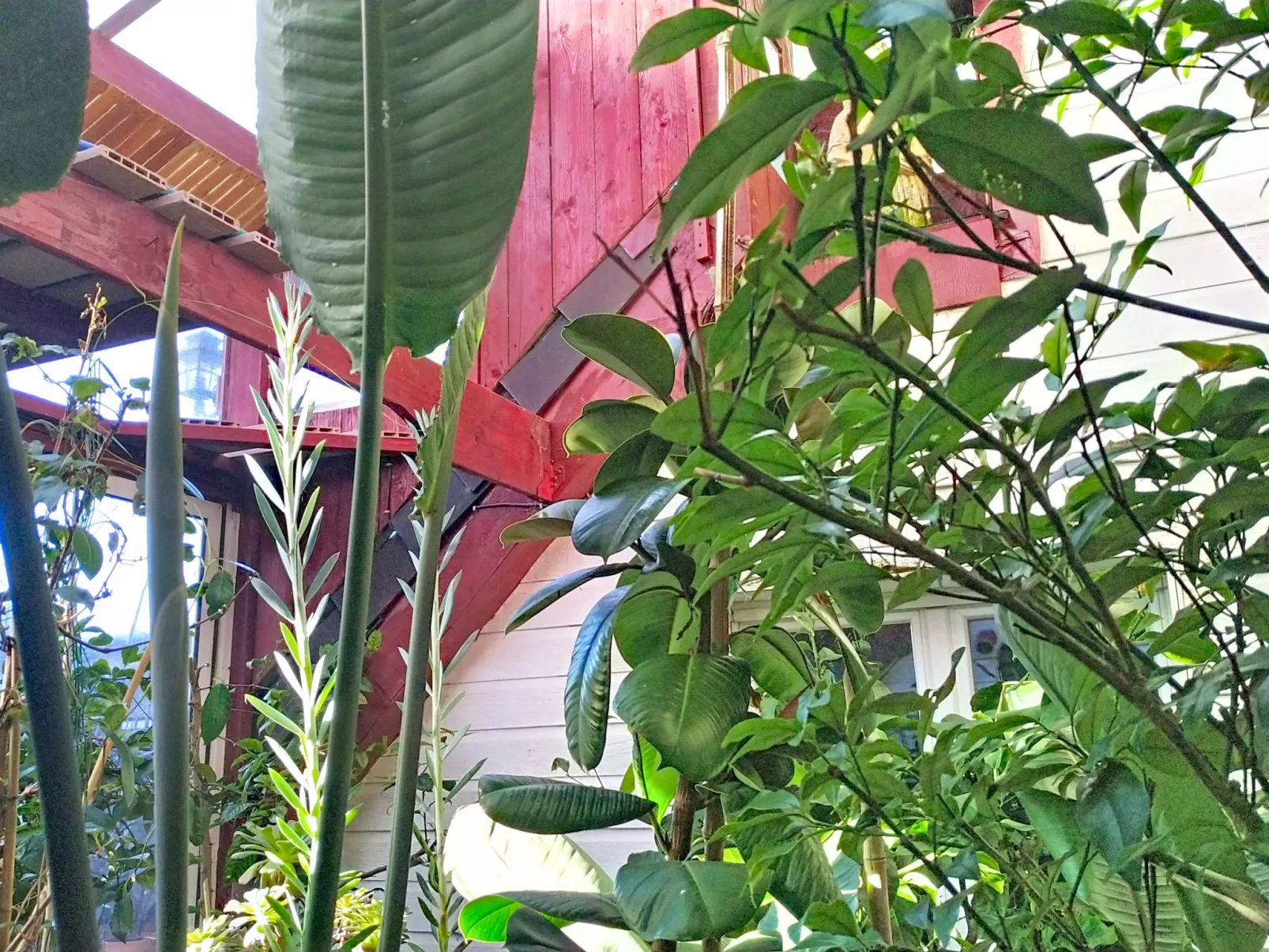 Le Paradis des Fleurs - Buiten