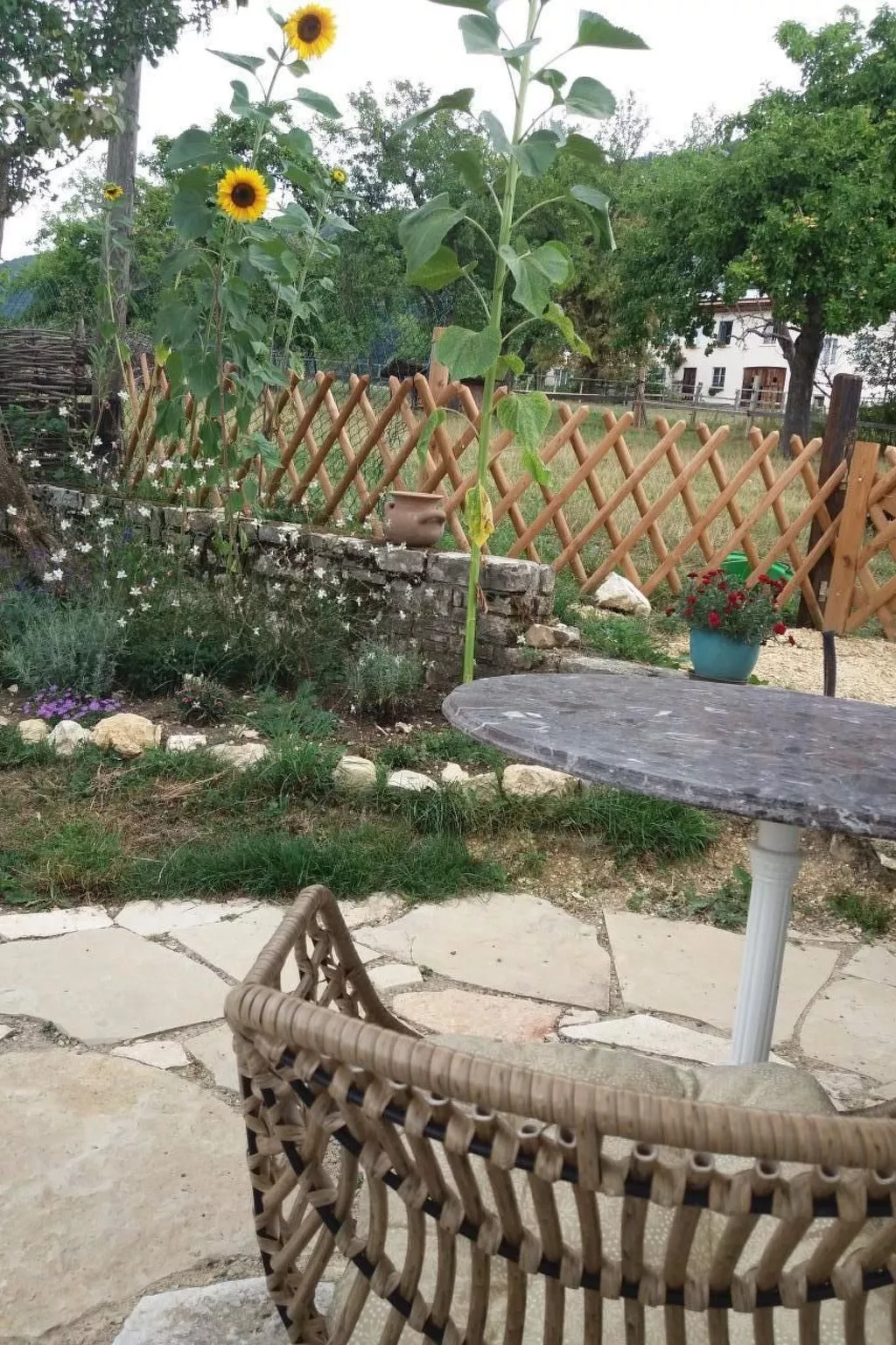 Hübsche 2-Zimmer-Wohnung in umgebauten Bauernhaus - Buiten