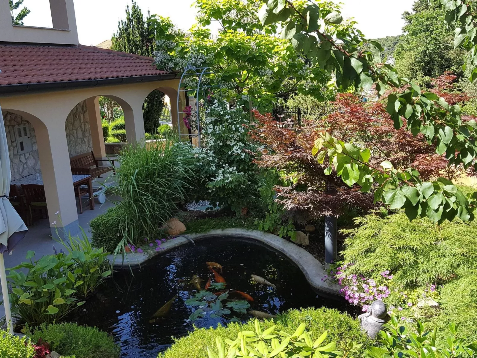 Ginkgo 1 - Image-tags.info