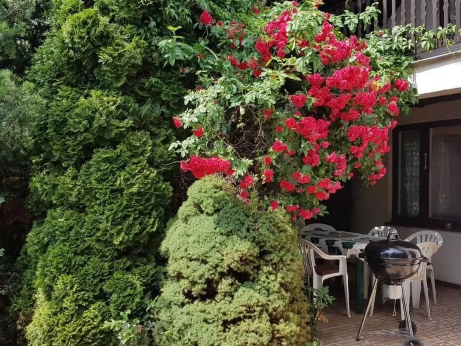 Mit Wasserblick - Buiten