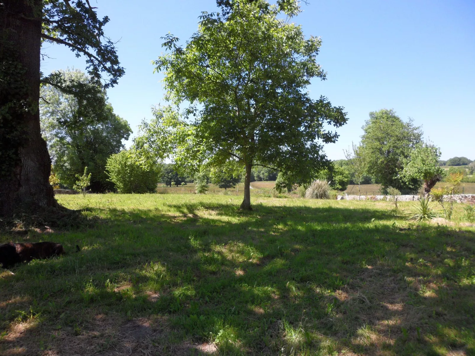 "Aelise" mit eigenem Pool - Buiten