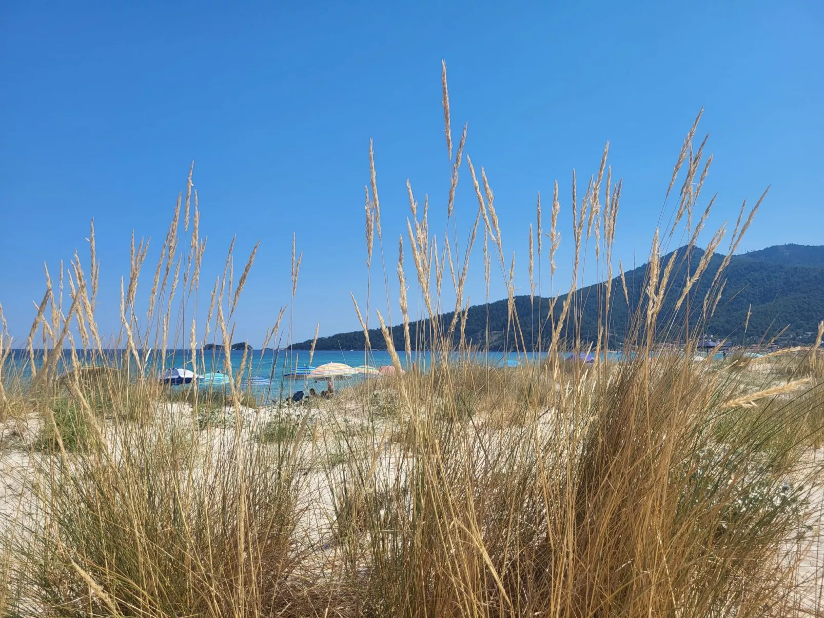 Strandnahes Ferienhaus mit privatem Garten - Image-tags.info