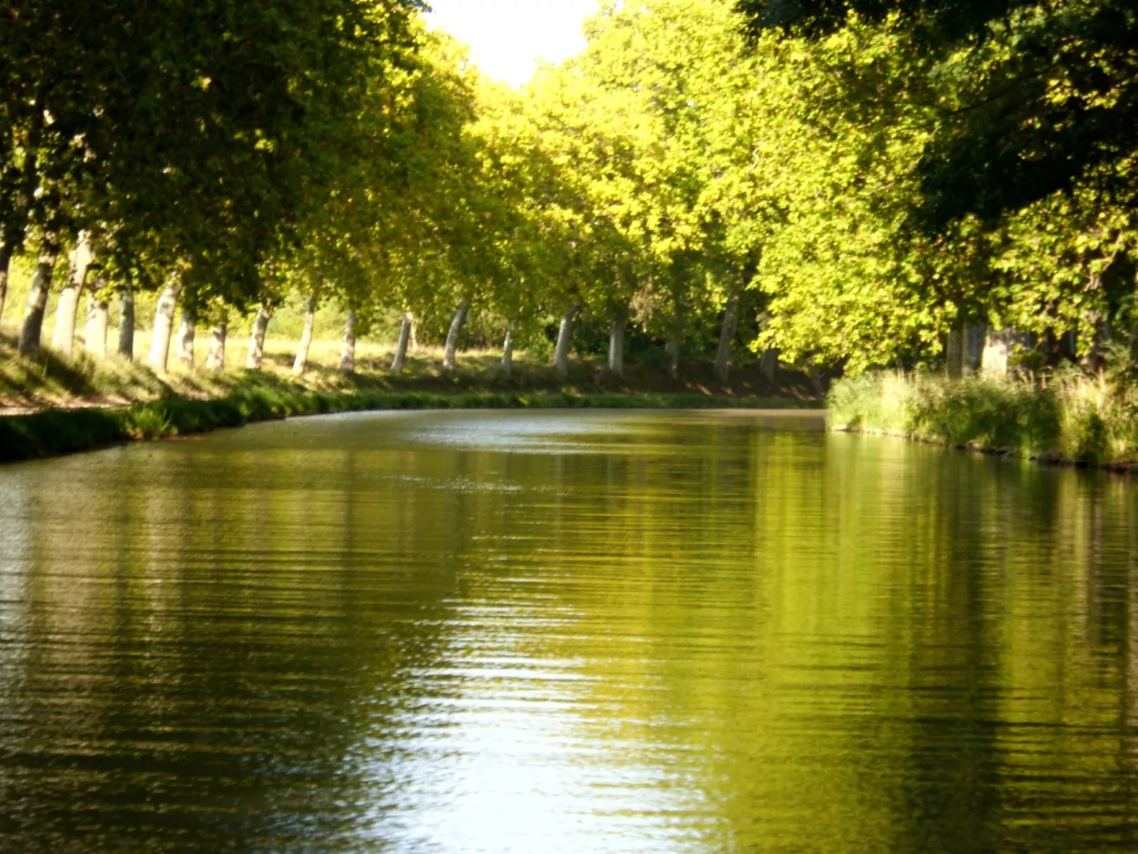 Maison Bleu - Buiten