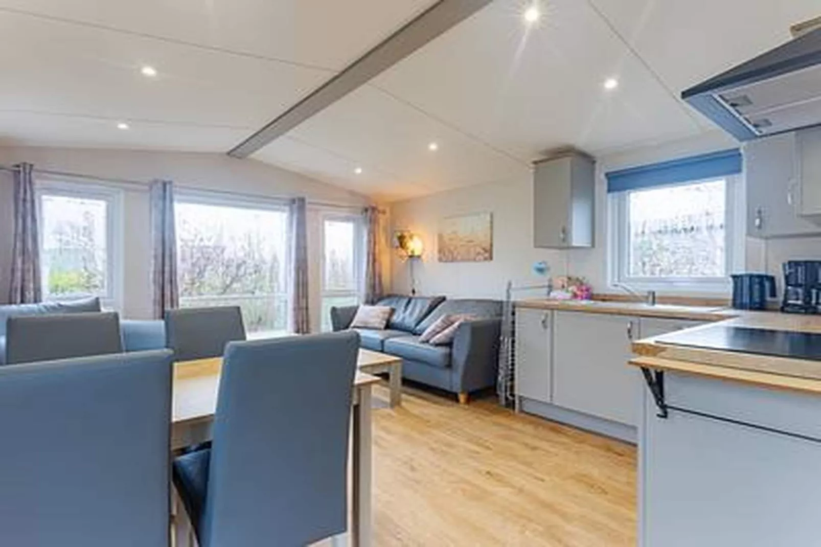 Duinhoeve Chalet Vogel - Huisdier niet toegestaan - Woonkamer