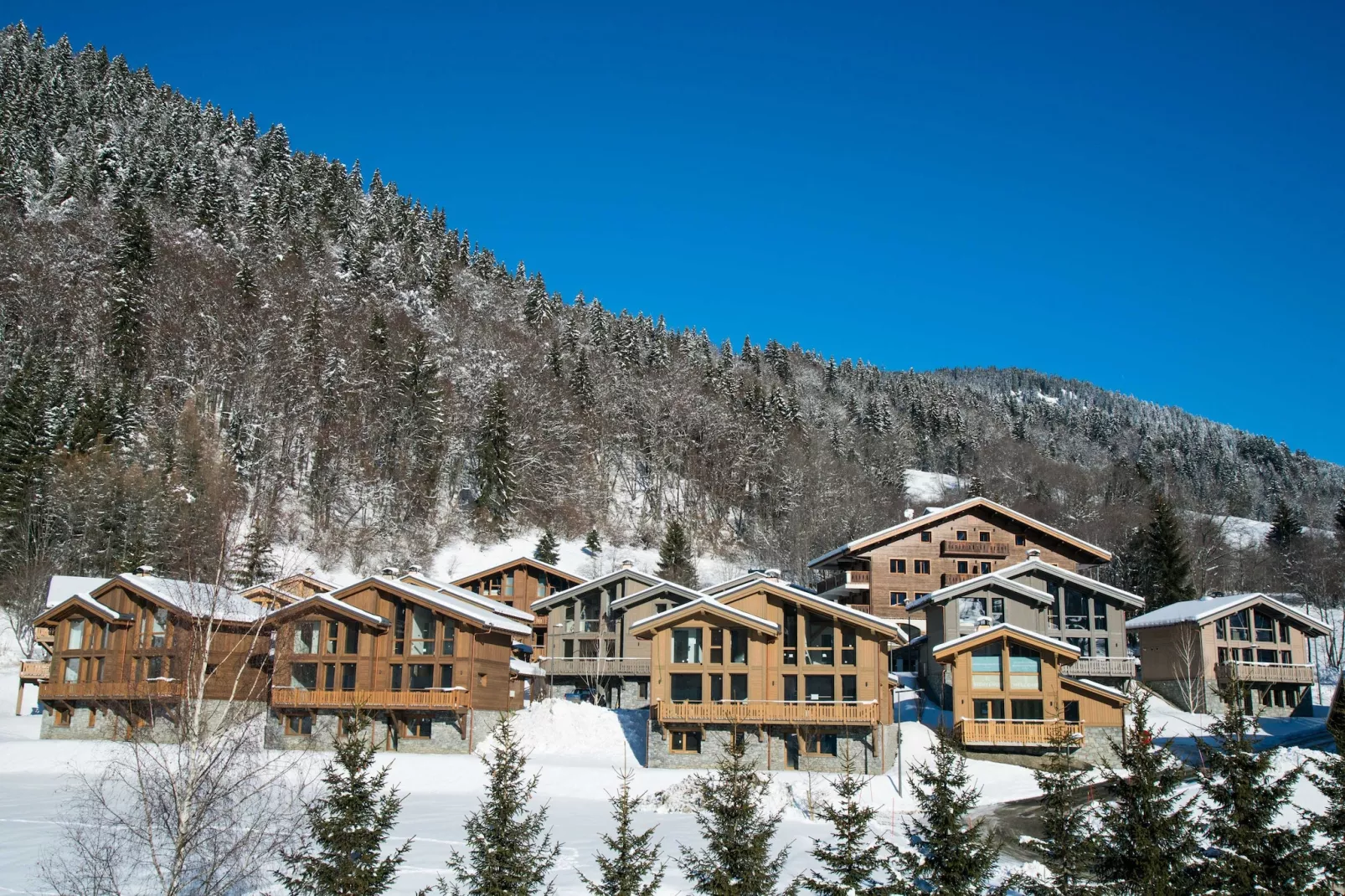 Les Portes de Megève 5 - Exterieur winter
