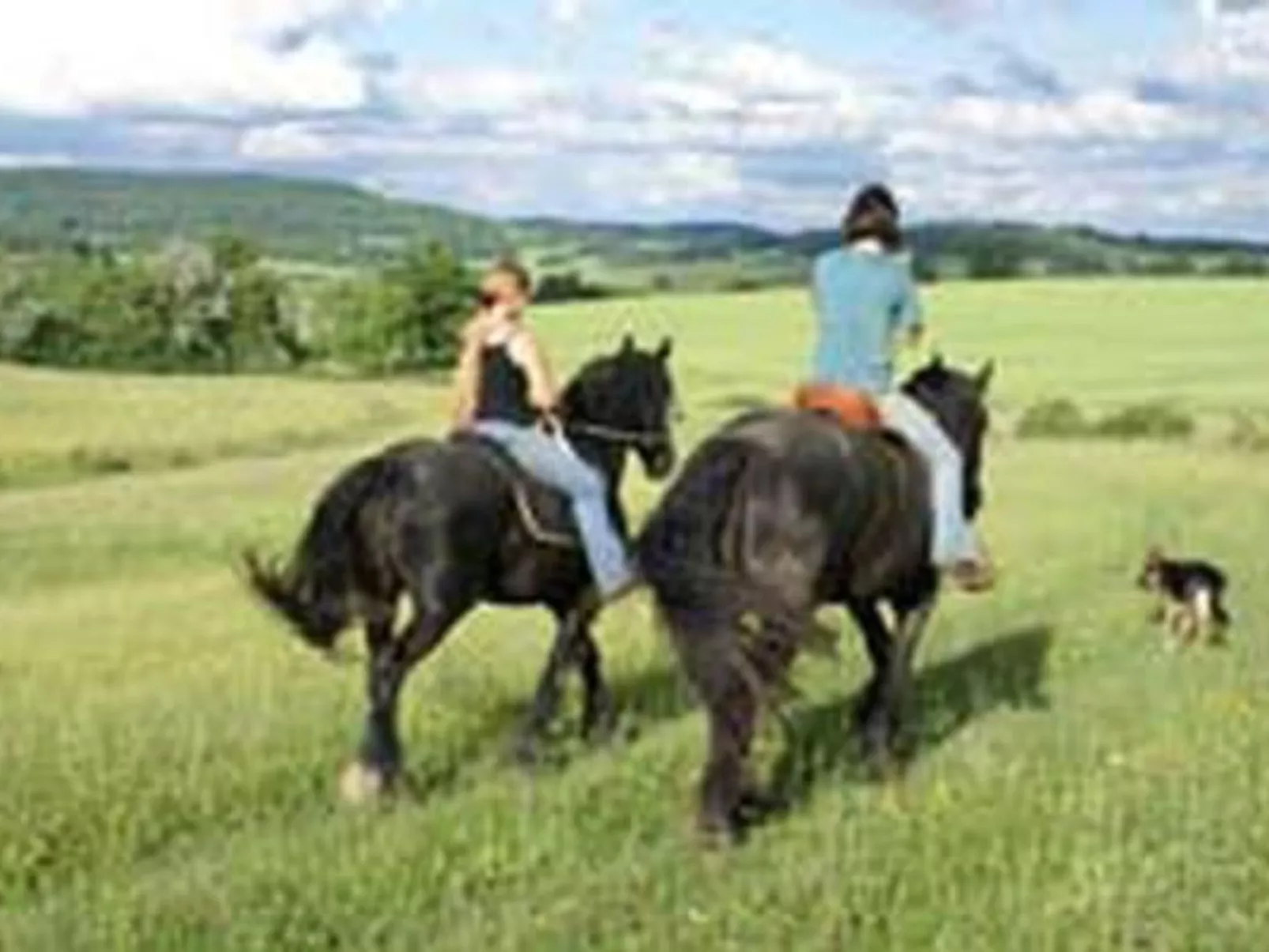 In Le Châtelet-Sur-Meuse mit Grill, Garten und Terrasse - Buiten