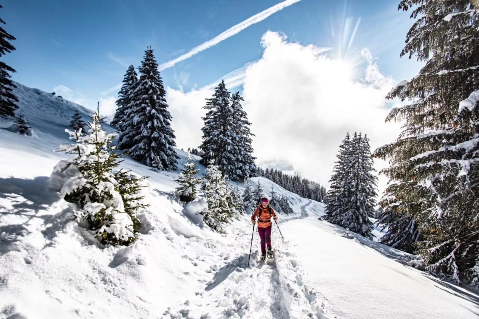 VERONICA VR49 NATURE & MOUNTAIN 6 Pers. - Niet-getagd