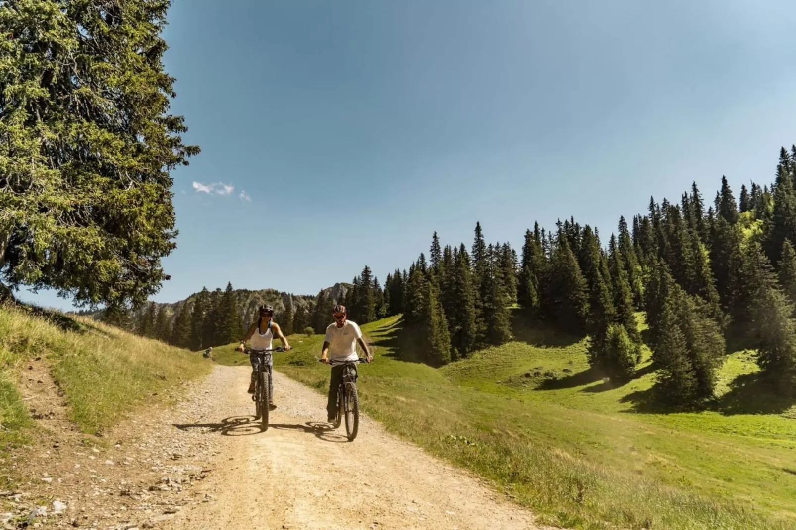 Chalet Ours Brun ORB MOUNTAIN & QUIET 6 Pers. - Niet-getagd