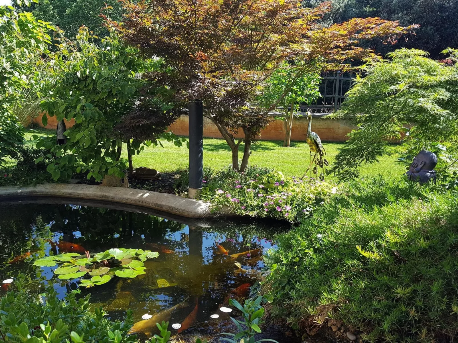 Ginkgo 1 - Image-tags.info