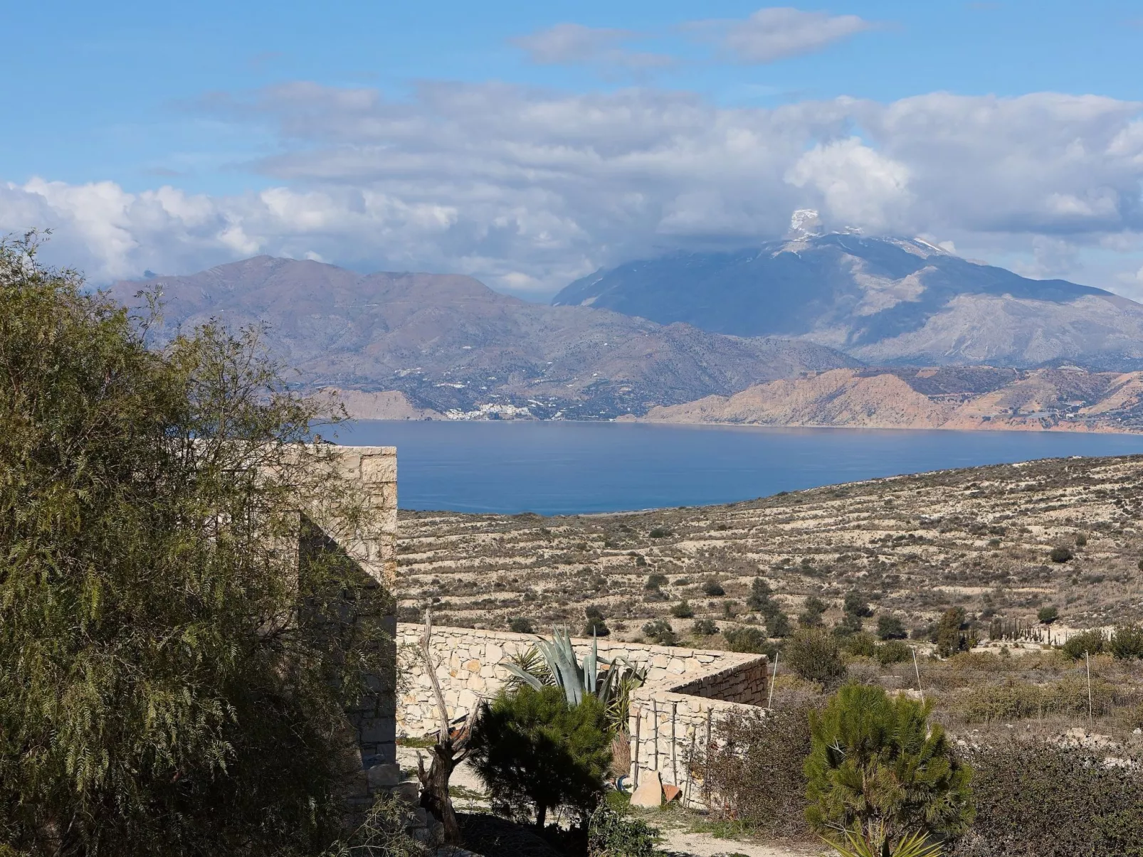 Orelia - Image-tags.info