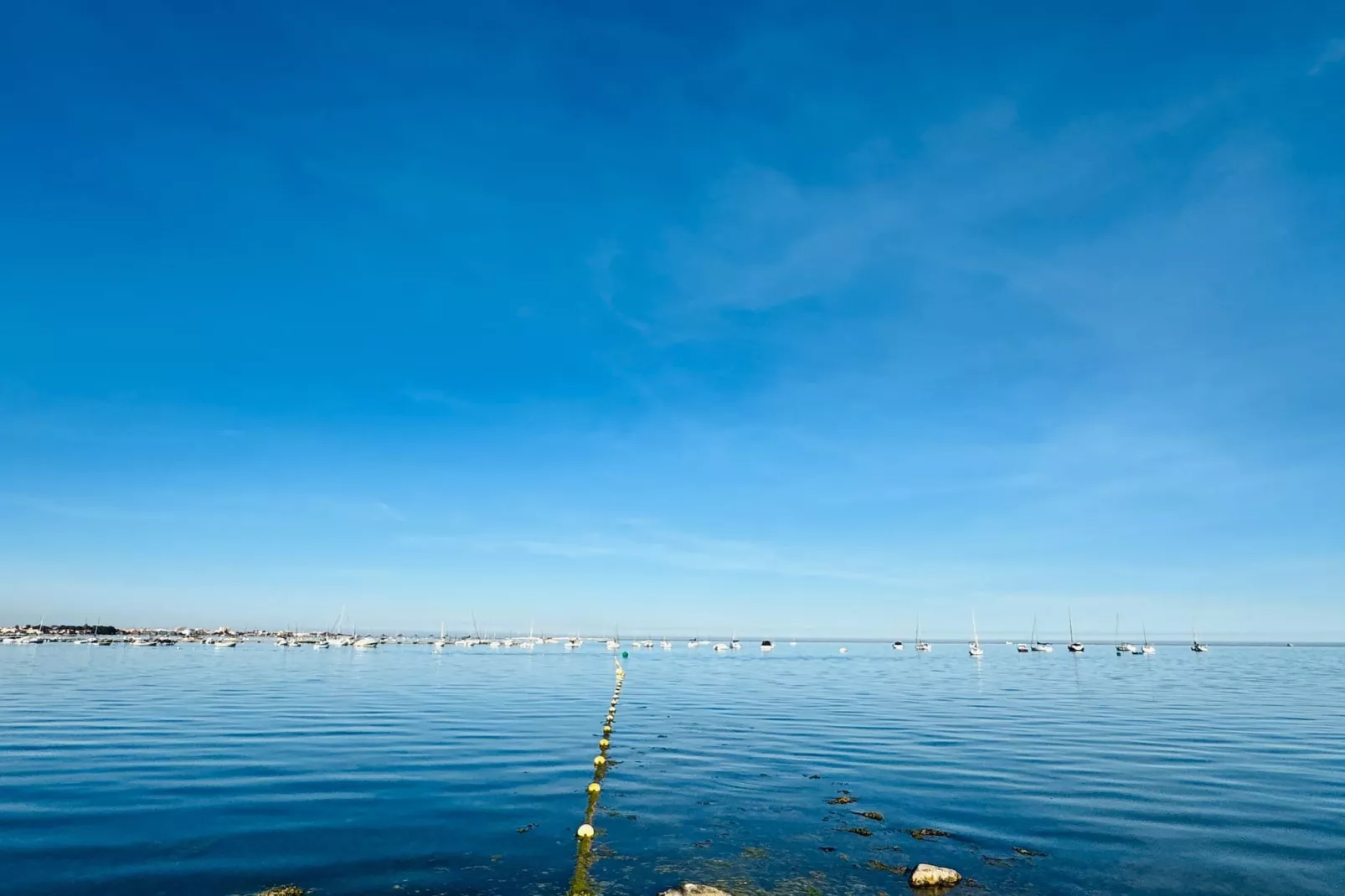 Single Room - Gebieden zomer 5km