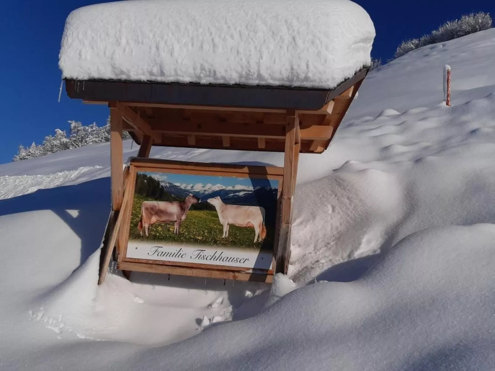 Hof Unterstein - Buiten