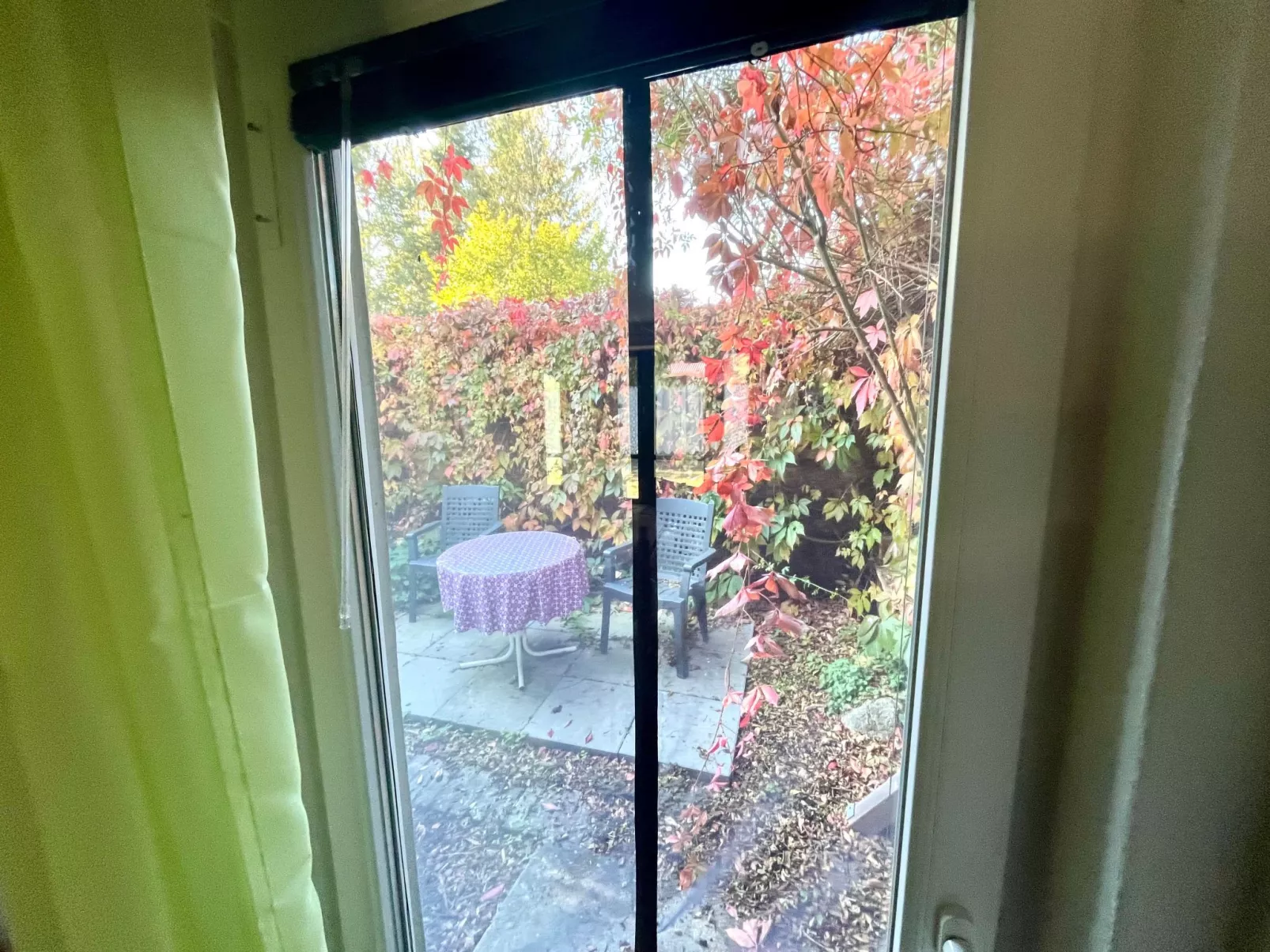 Holunderzimmer - Buiten