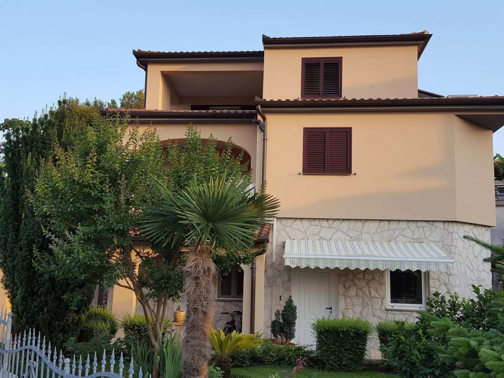 Ginkgo 1 - Image-tags.info